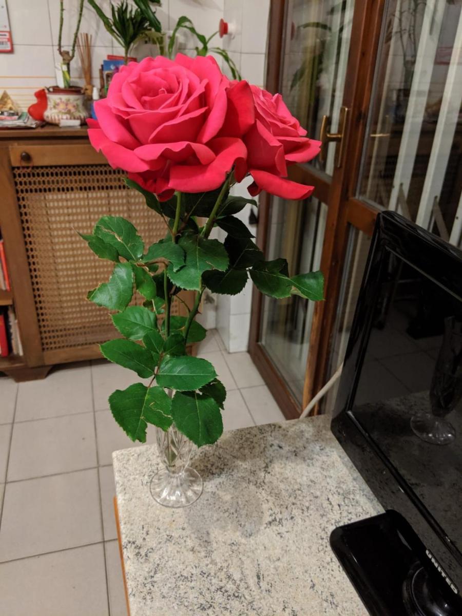 Photo 32