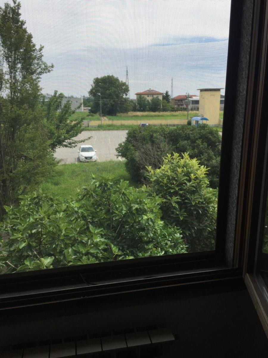 Photo 52