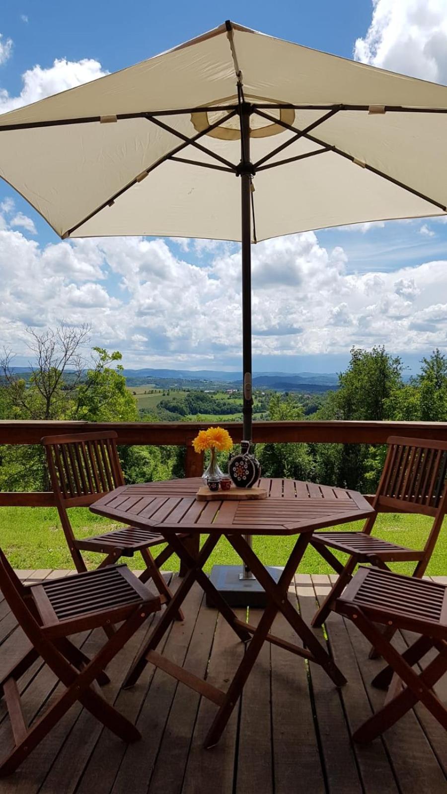 Pet friendly cabin with amazing view