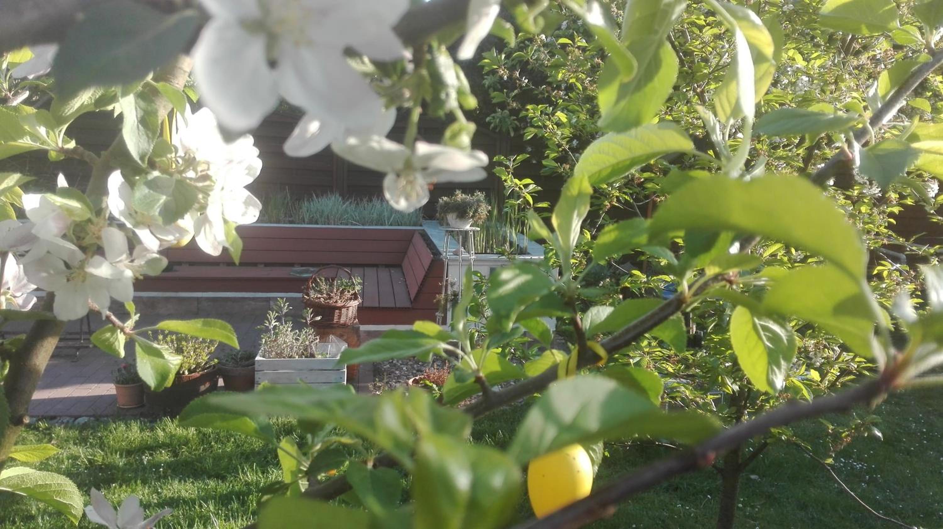 Brzoza i Świerk z widokiem na góry Apartament w centrum uzdrowiska przy Parku i Termach, photo 18