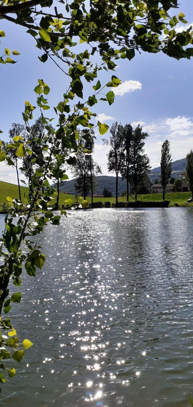 Appartamenti Cenni - Relais su Lago view 4