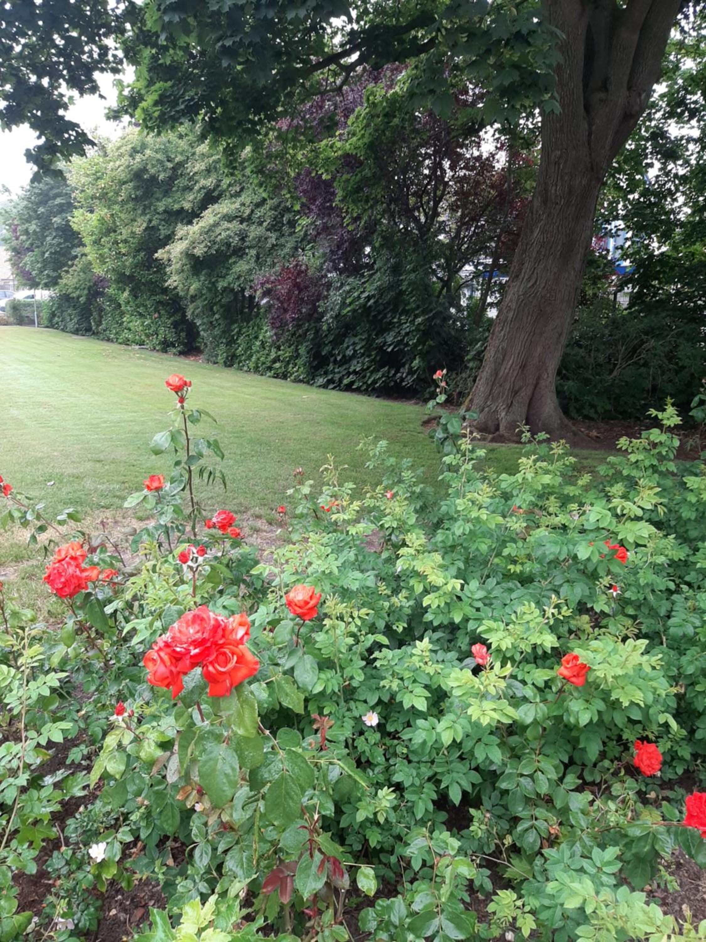 Photo 27