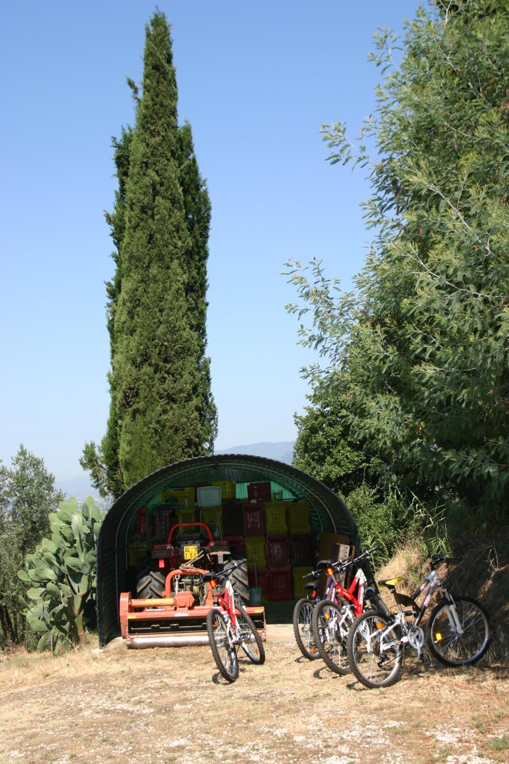 Collina Toscana Agriturismo & Apartments
