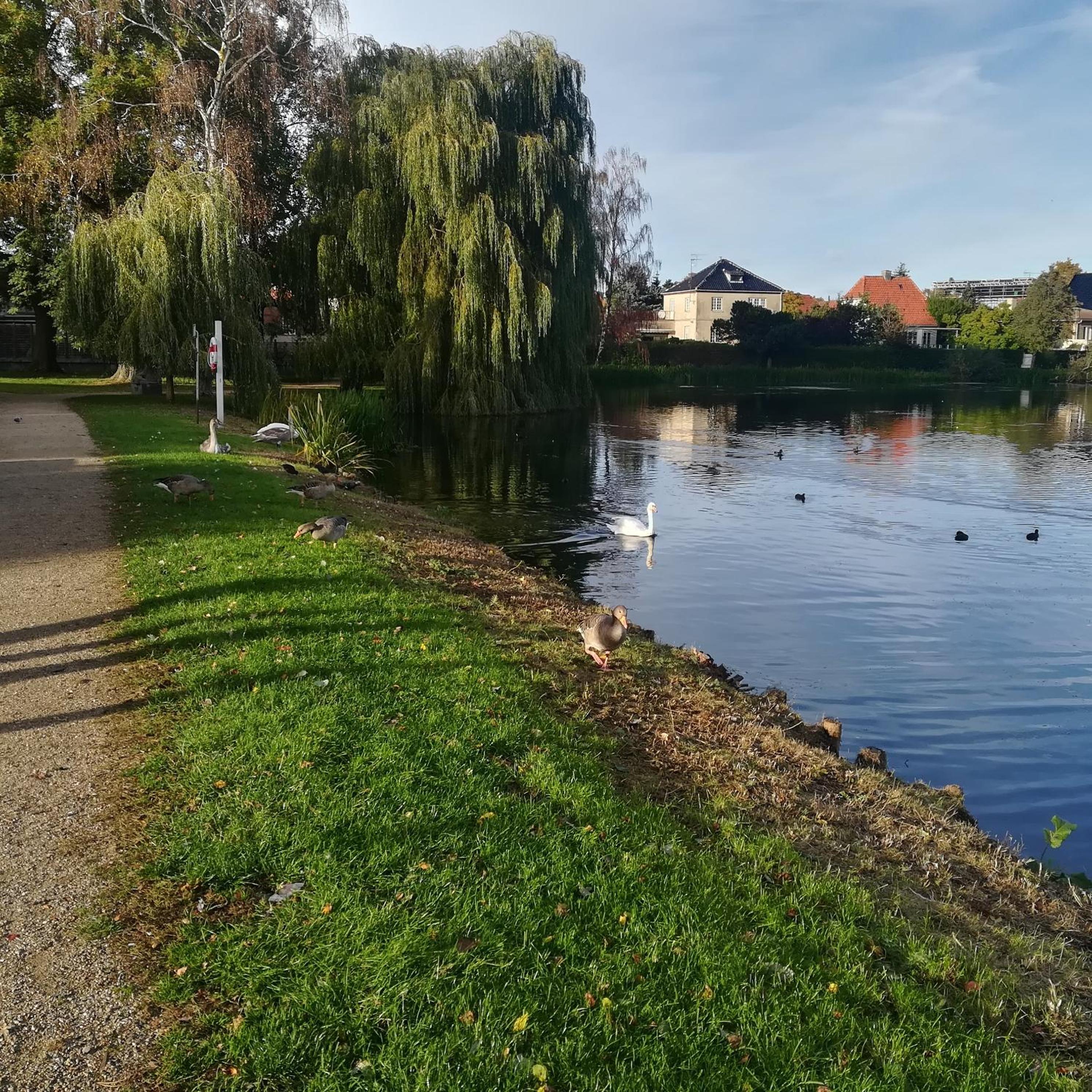 Photo 16