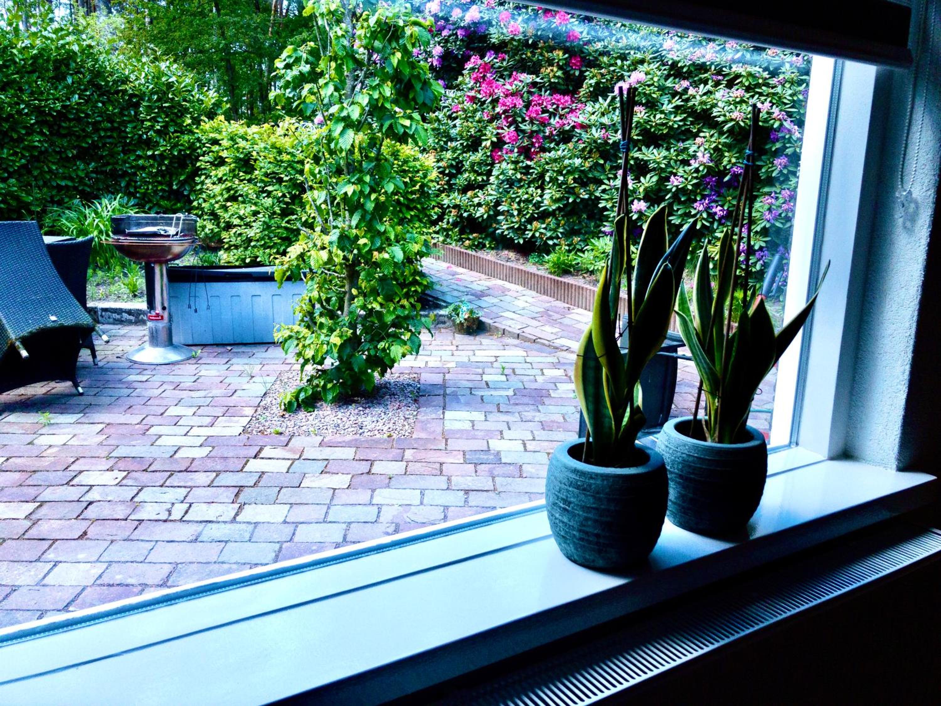 De Drie Beuken, fotografía 3