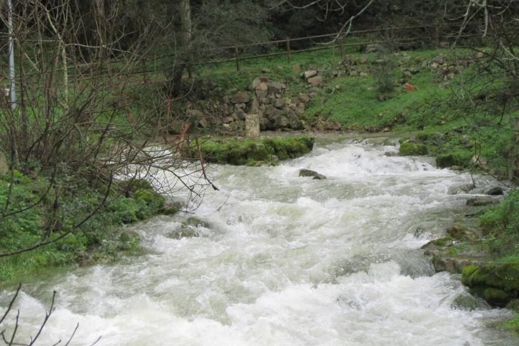 Photo 46
