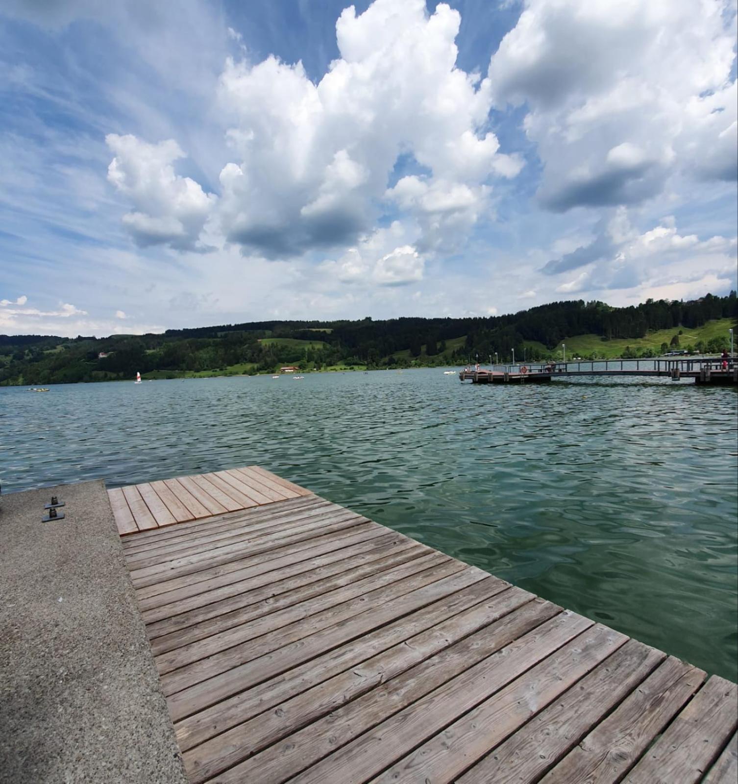 FeWo Alpenveilchen im Oberallgäu mit Pool, Sauna und tollem Ausblick vom großen Balkon