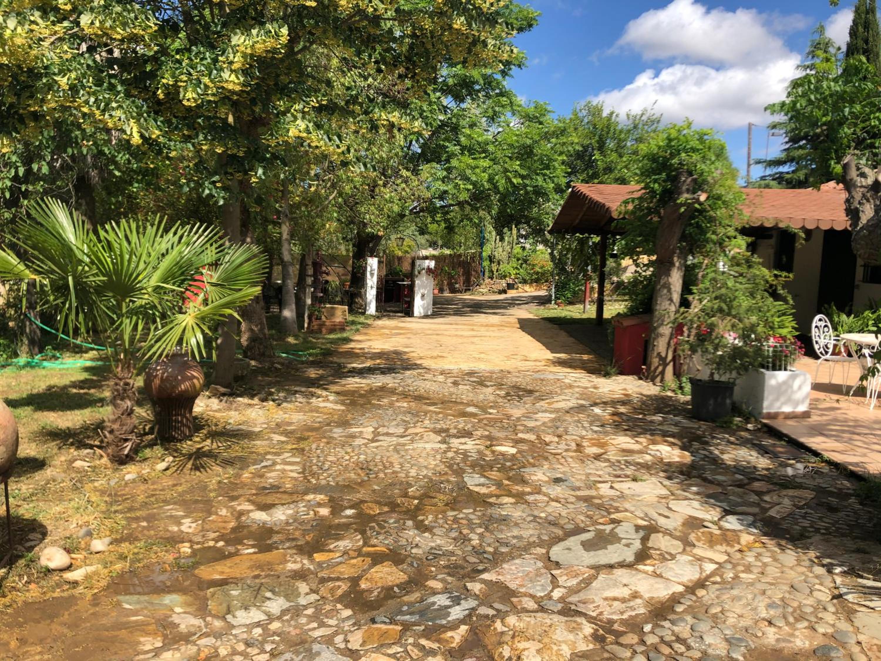 Vivienda Turística La Huerta view 3