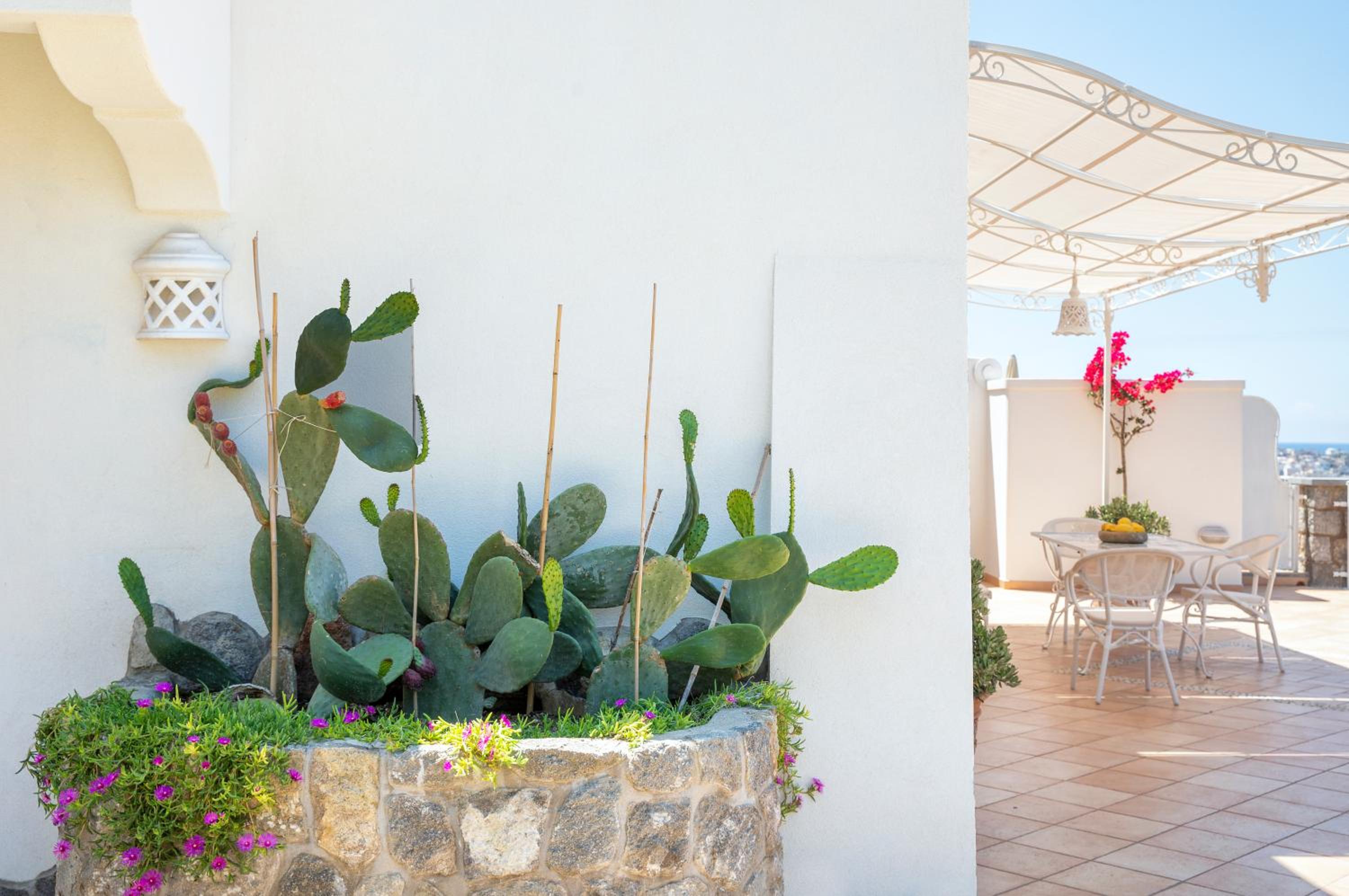 Villa dei Lecci - 7 Luxury villas with private pool or jacuzzi