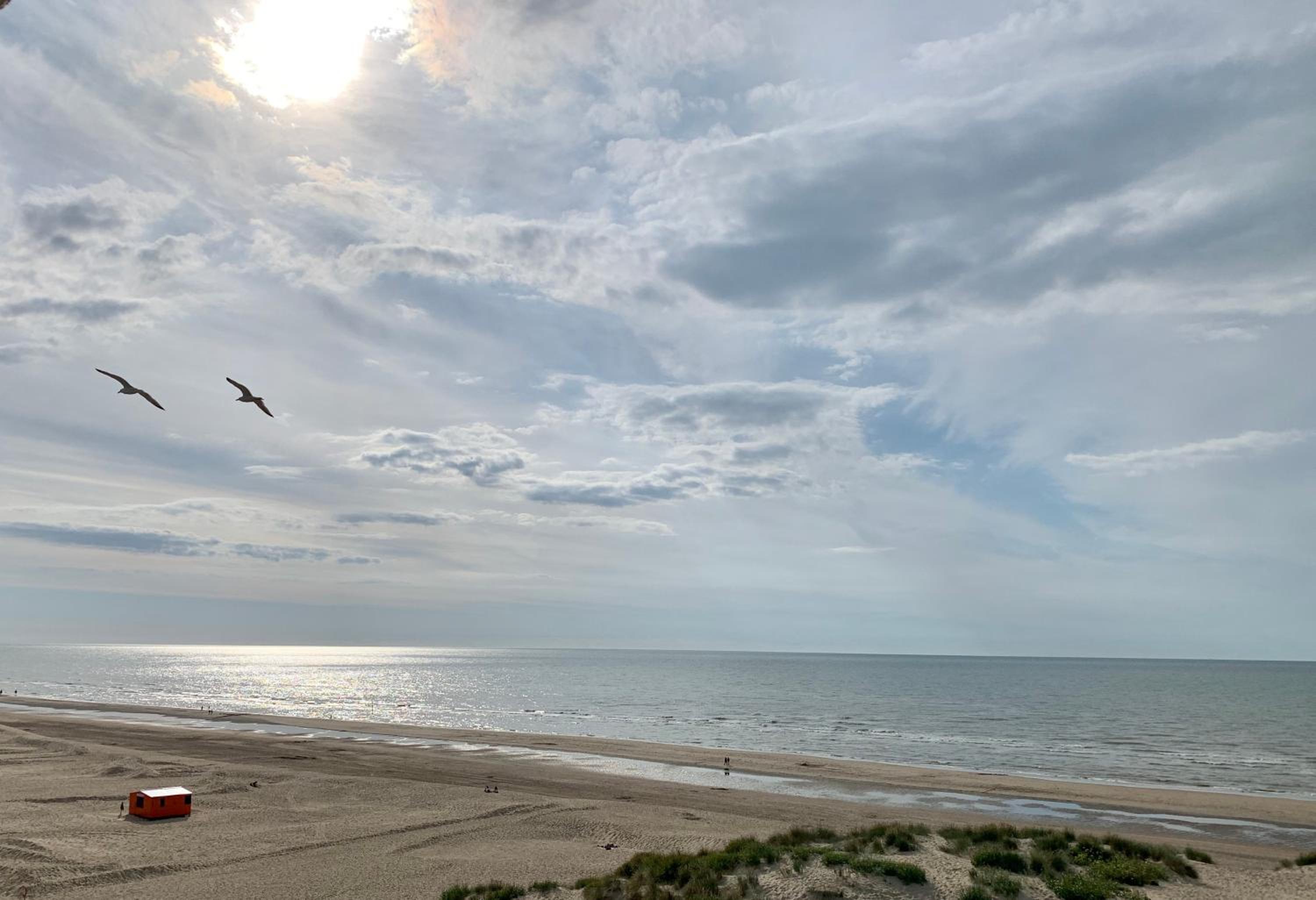 Koksijde Zeedijk Res Manh