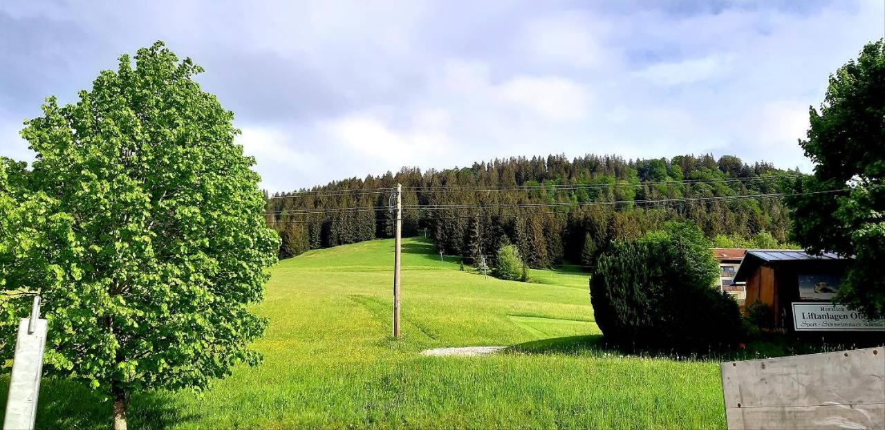 FeWo Alpenveilchen im Oberallgäu mit Pool, Sauna und tollem Ausblick vom großen Balkon