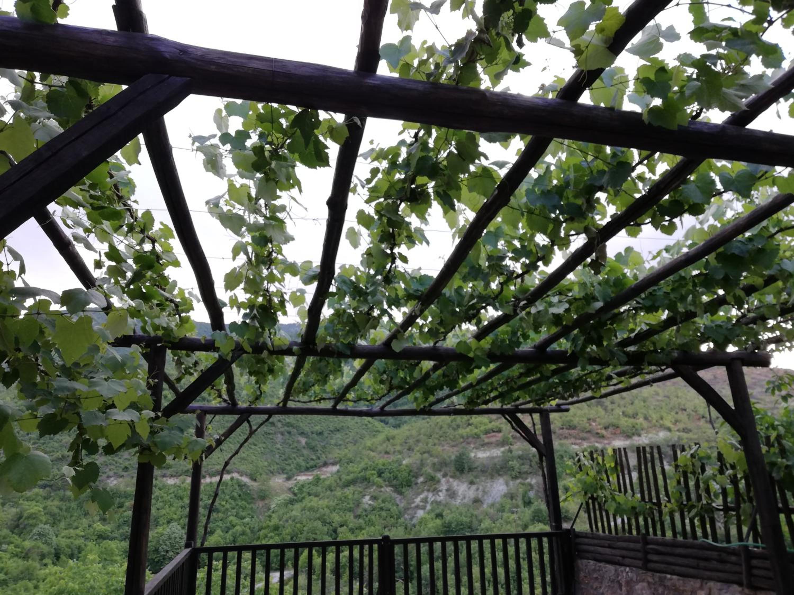 Villa Vadola view 2