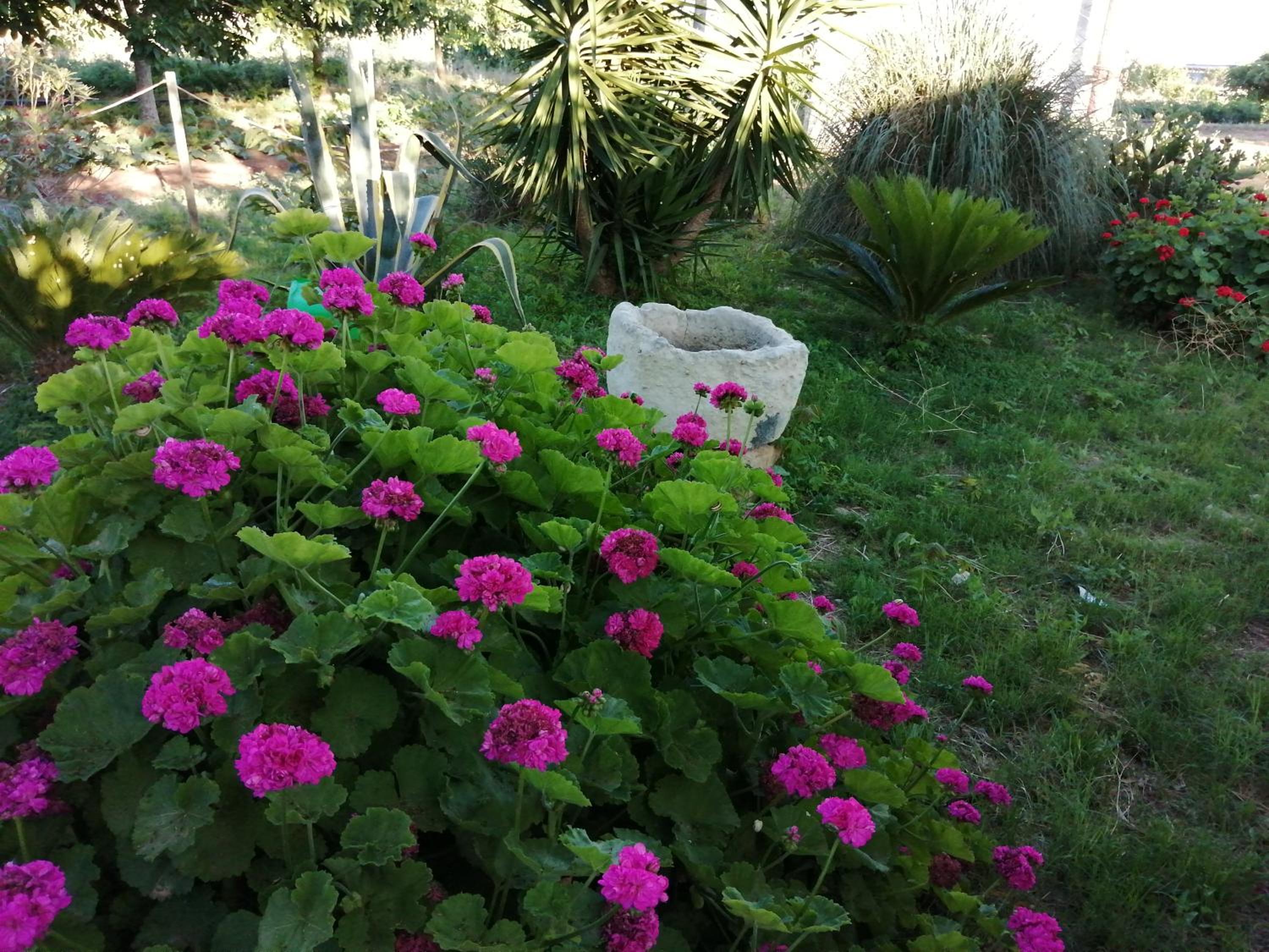 Agriturismo Tenuta Perruzzi