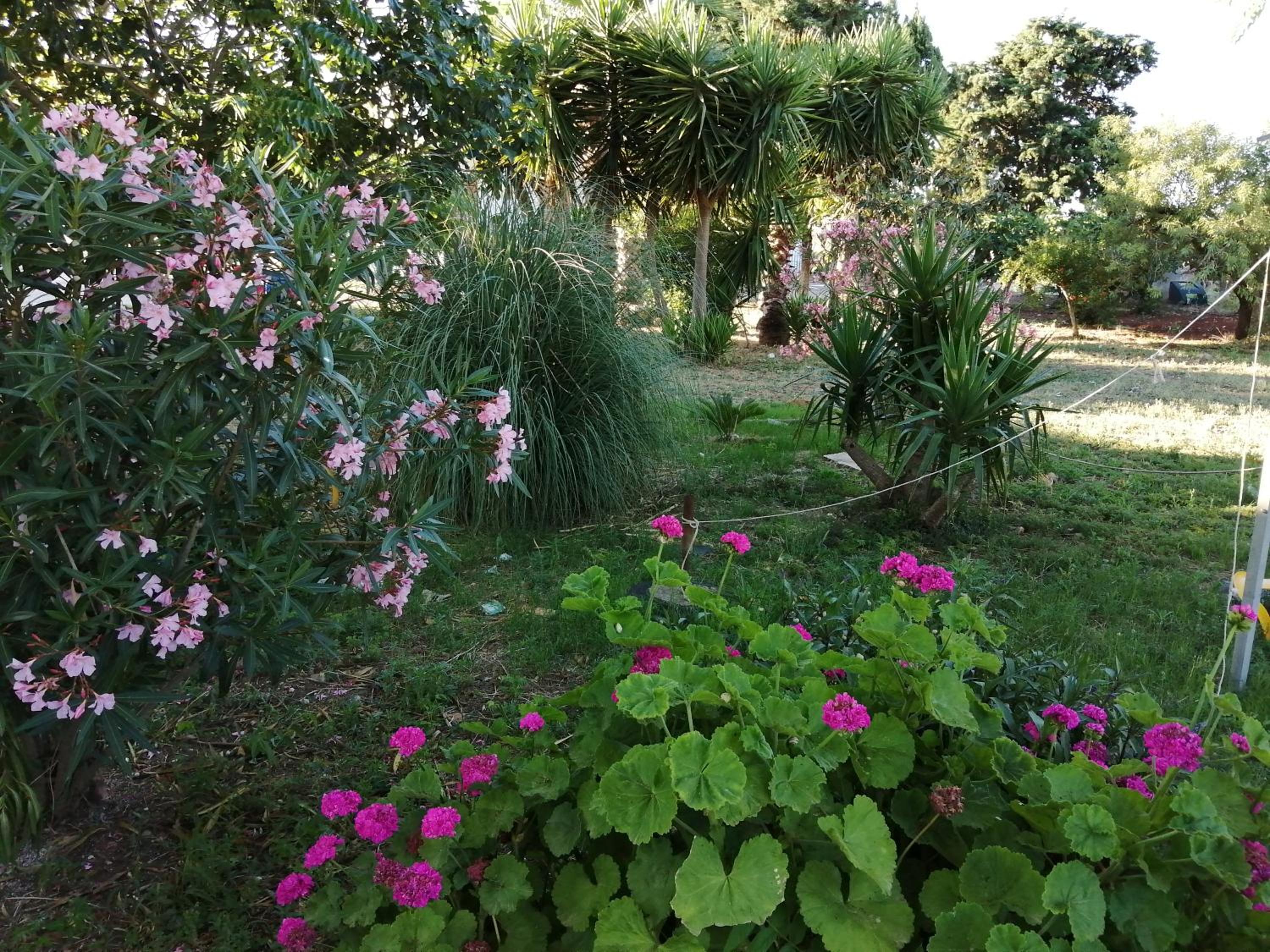 Agriturismo Tenuta Perruzzi