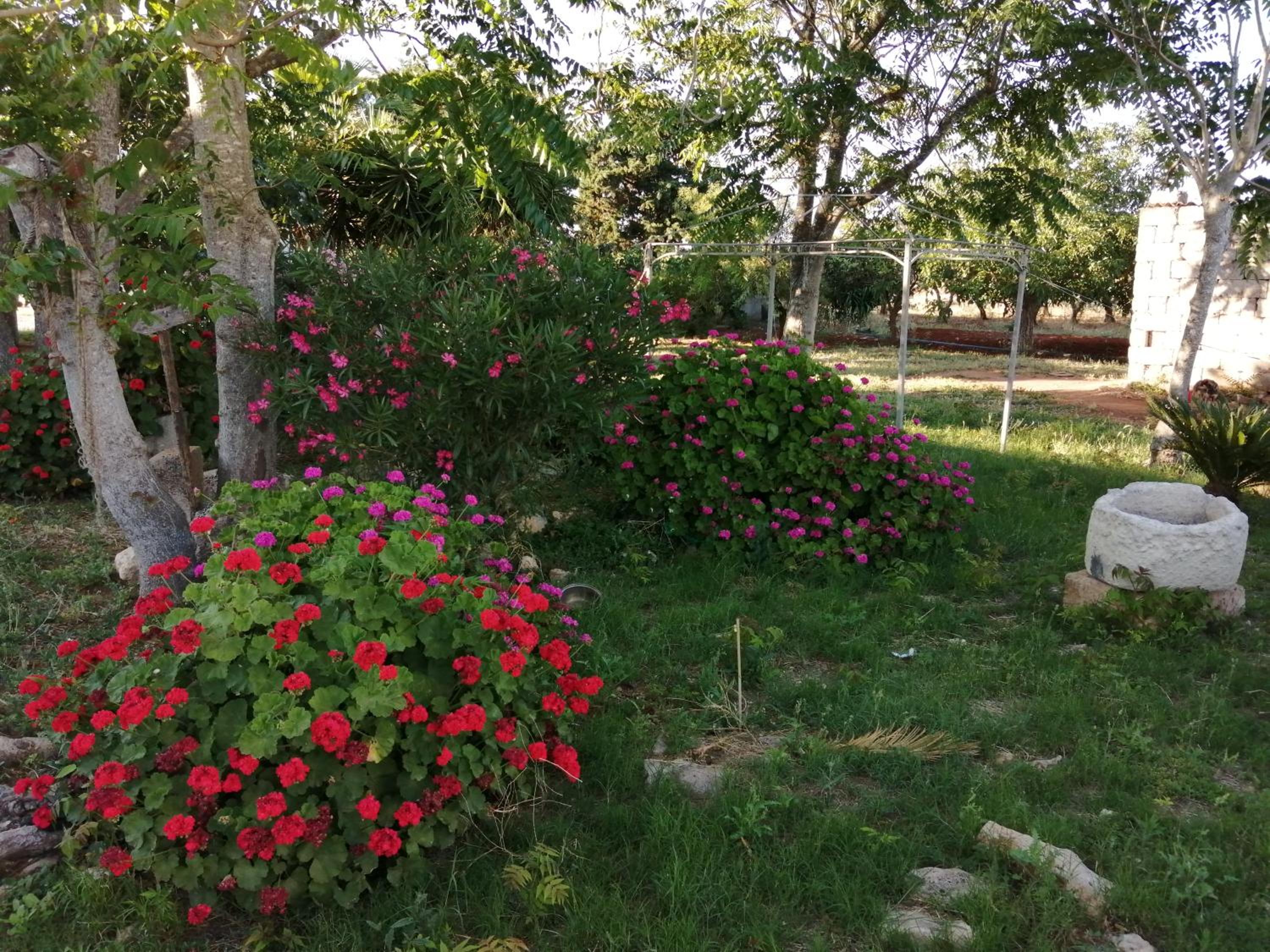Agriturismo Tenuta Perruzzi