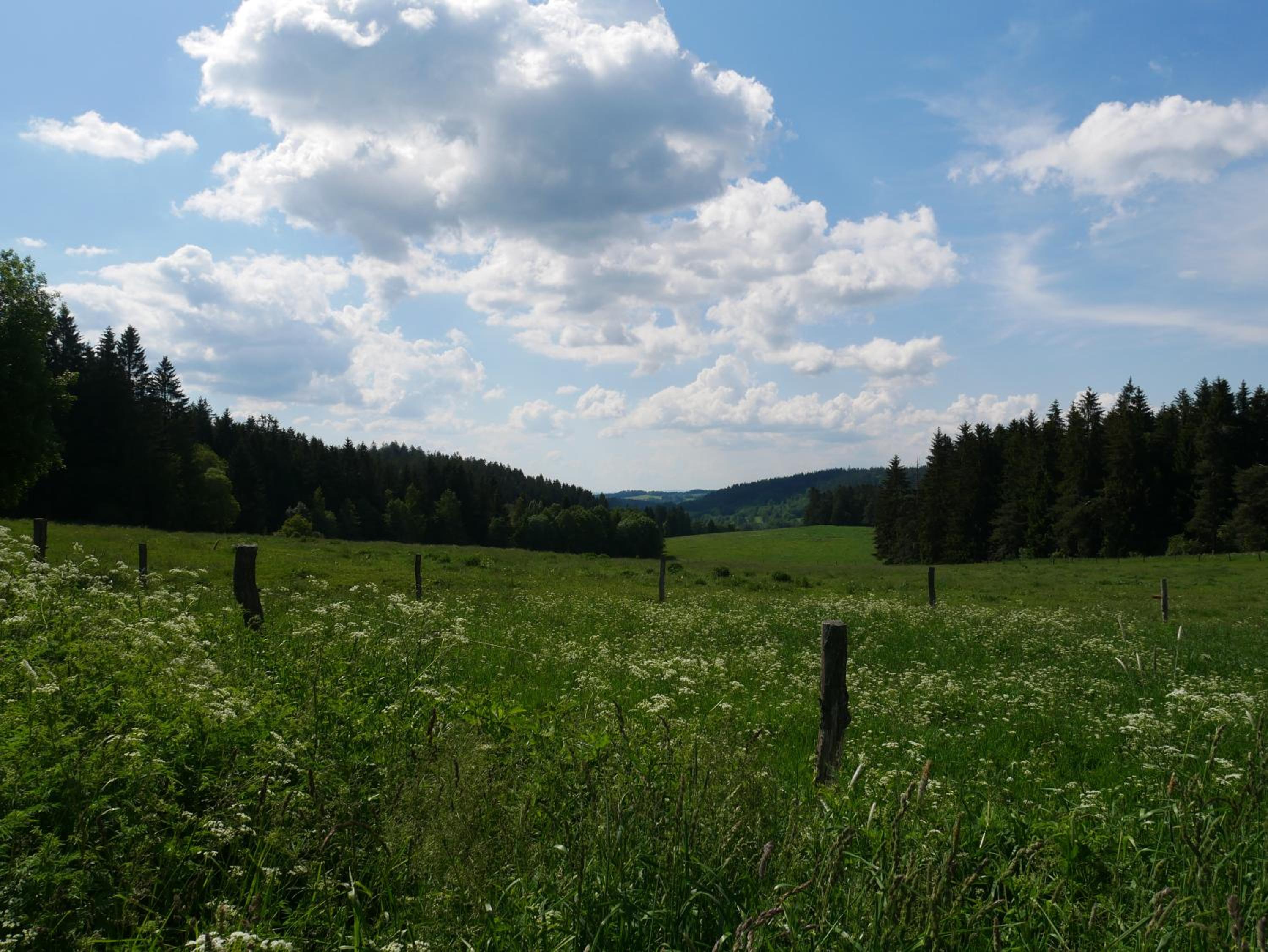 Chalupa Pasečná