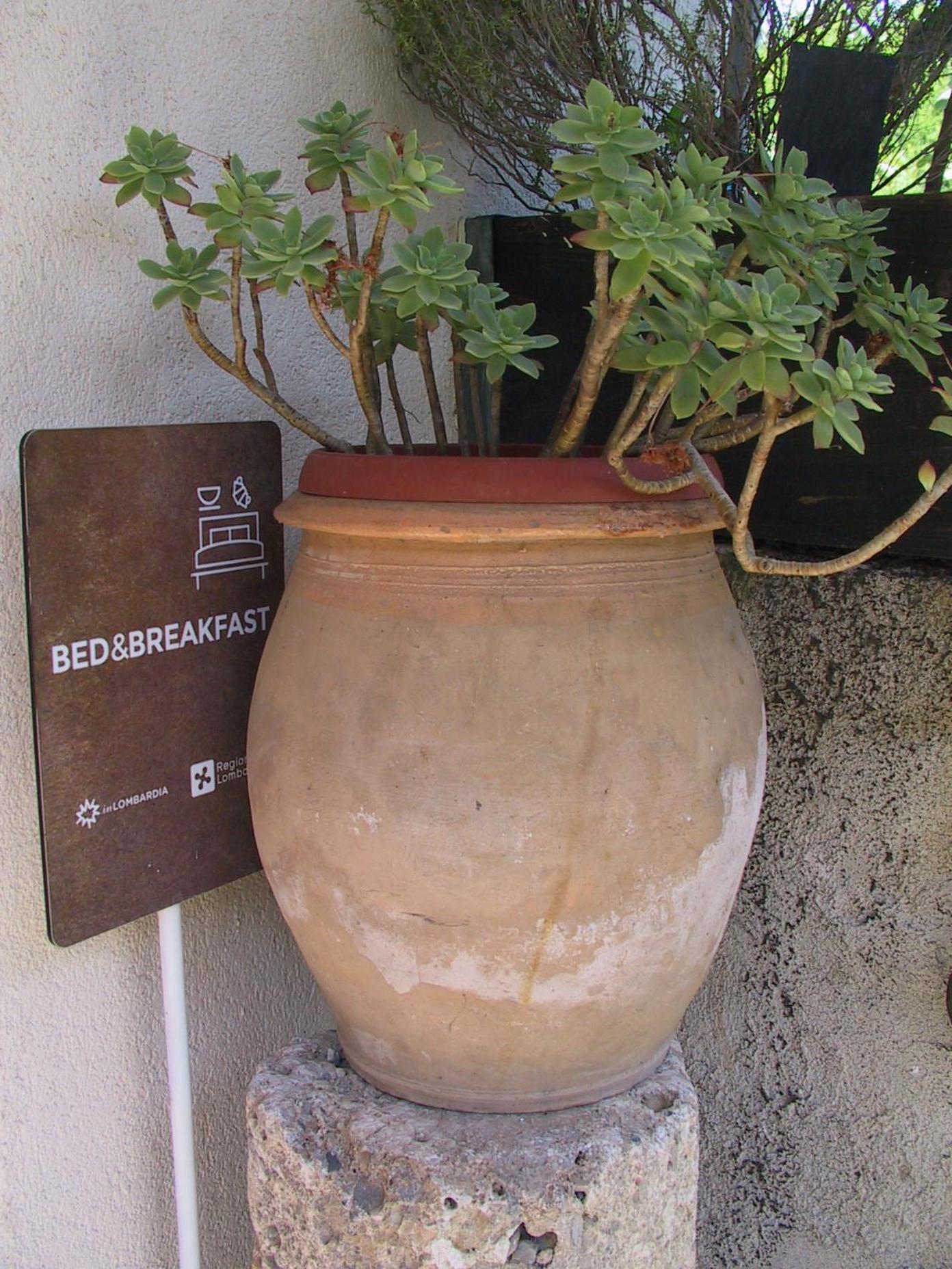 B&B Il Rustico