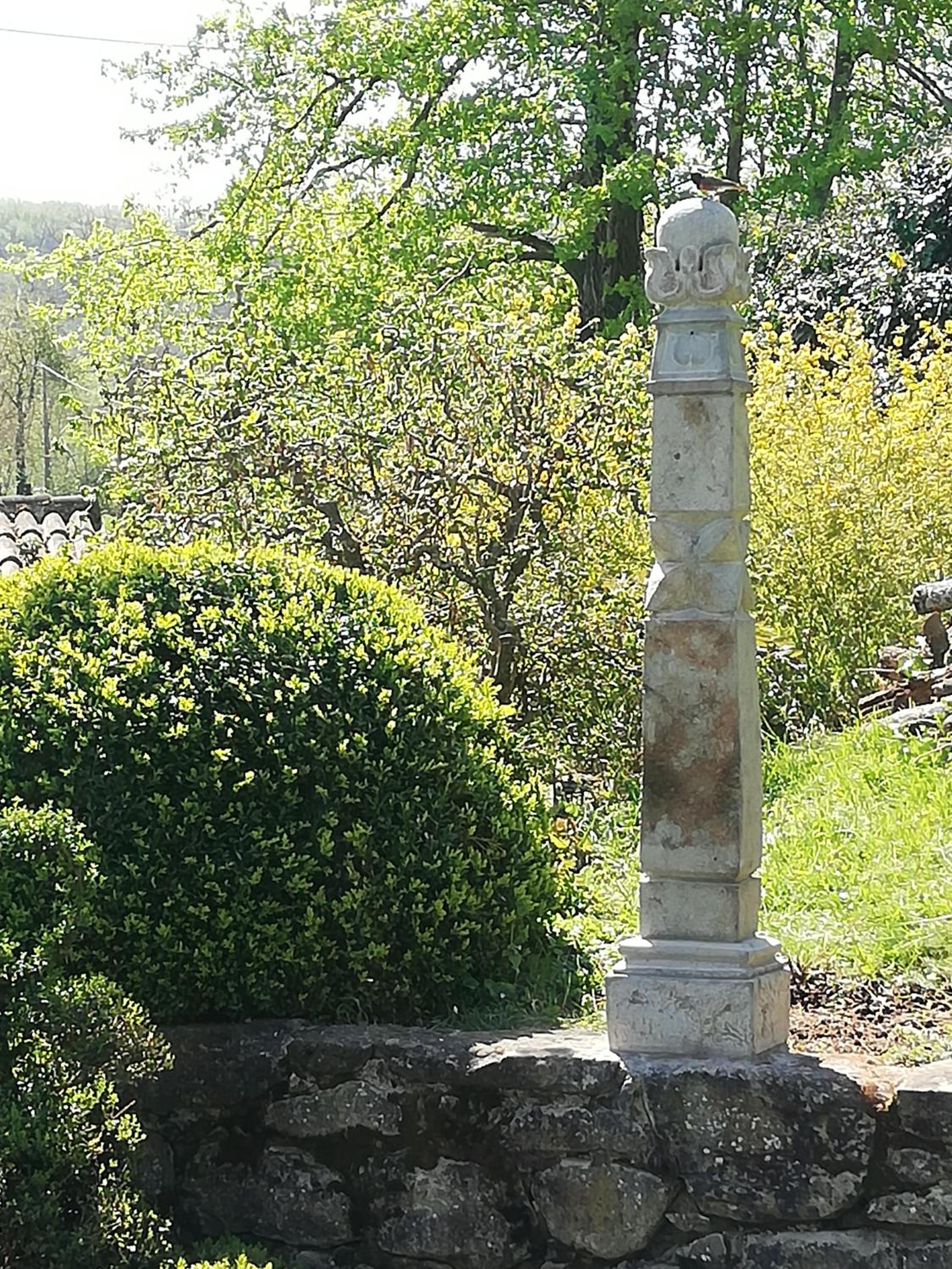 Photo 40