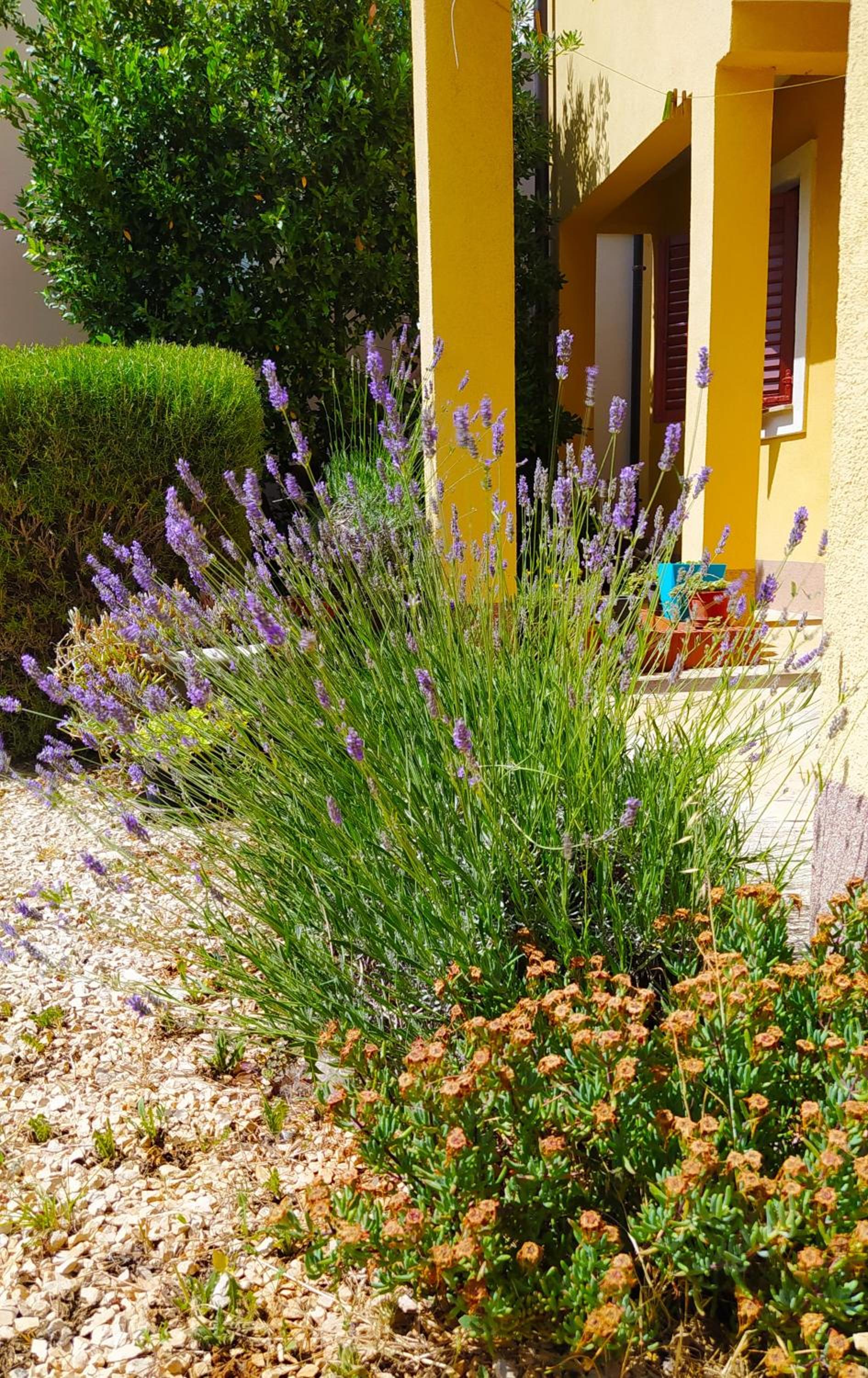Apartmani Lučica 2 view 3