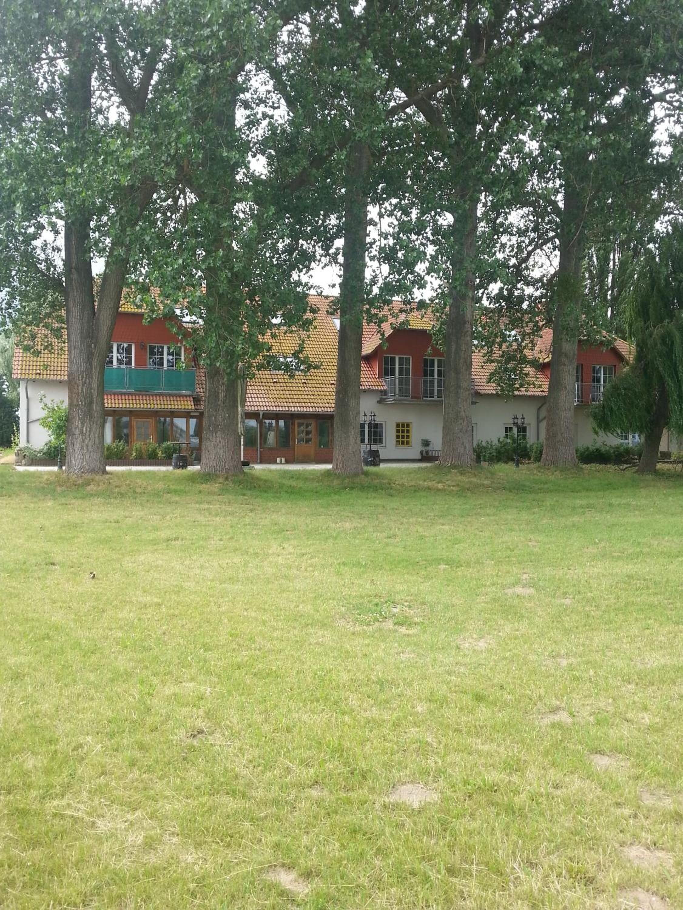 Photo 8