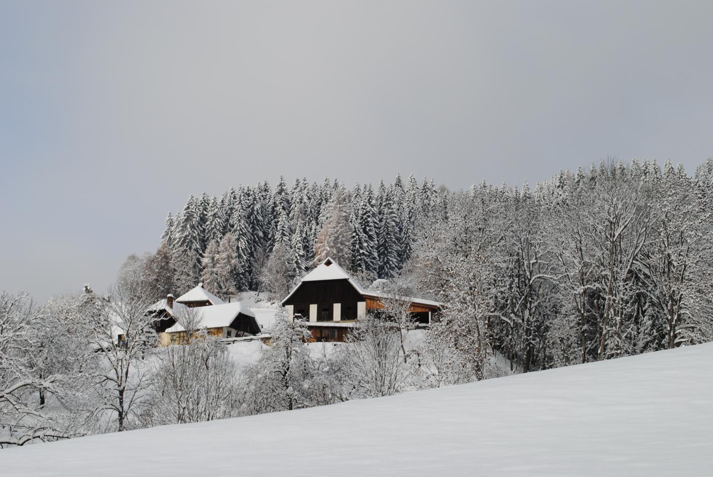 Schlintl-Hof