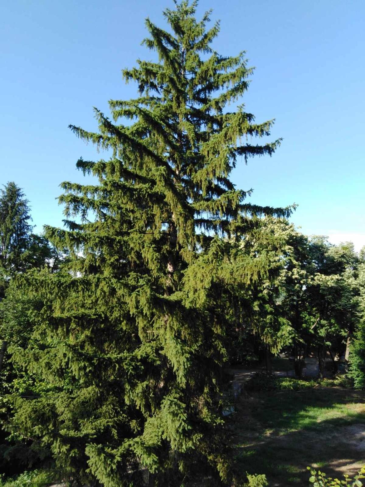 Photo 30