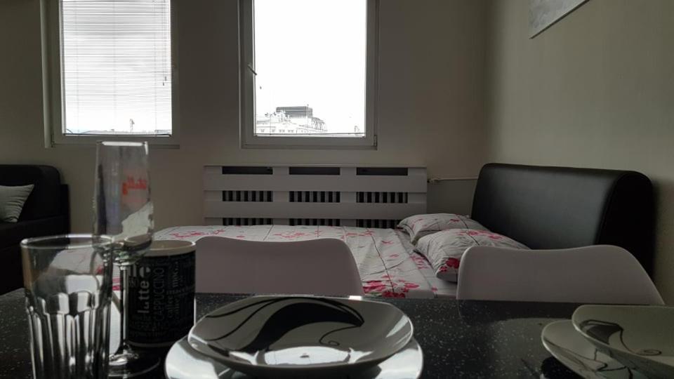 CENTRAL VIEW APARTMENT view 3