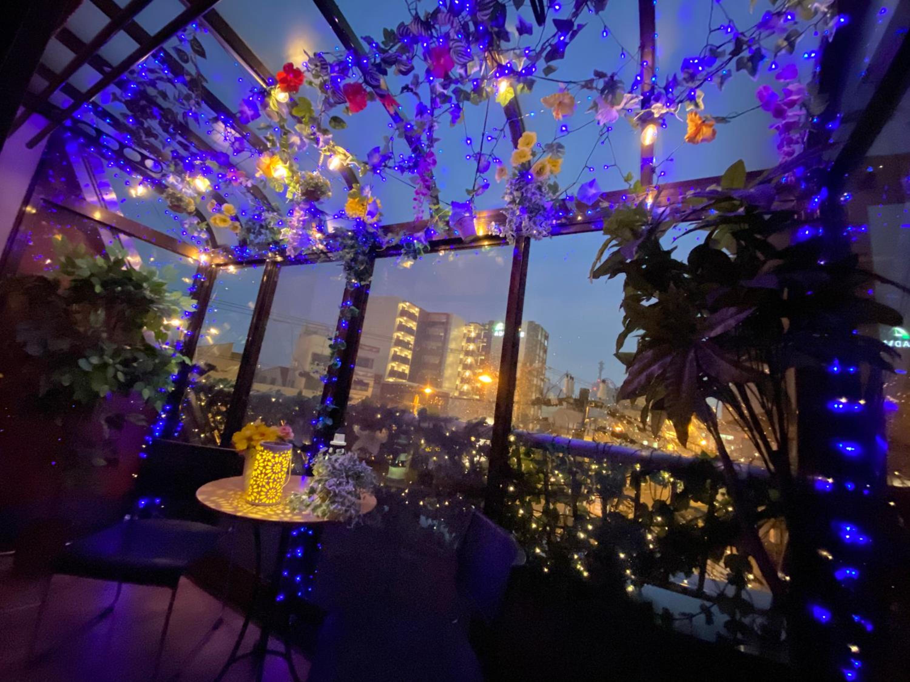 Hotel Orange House