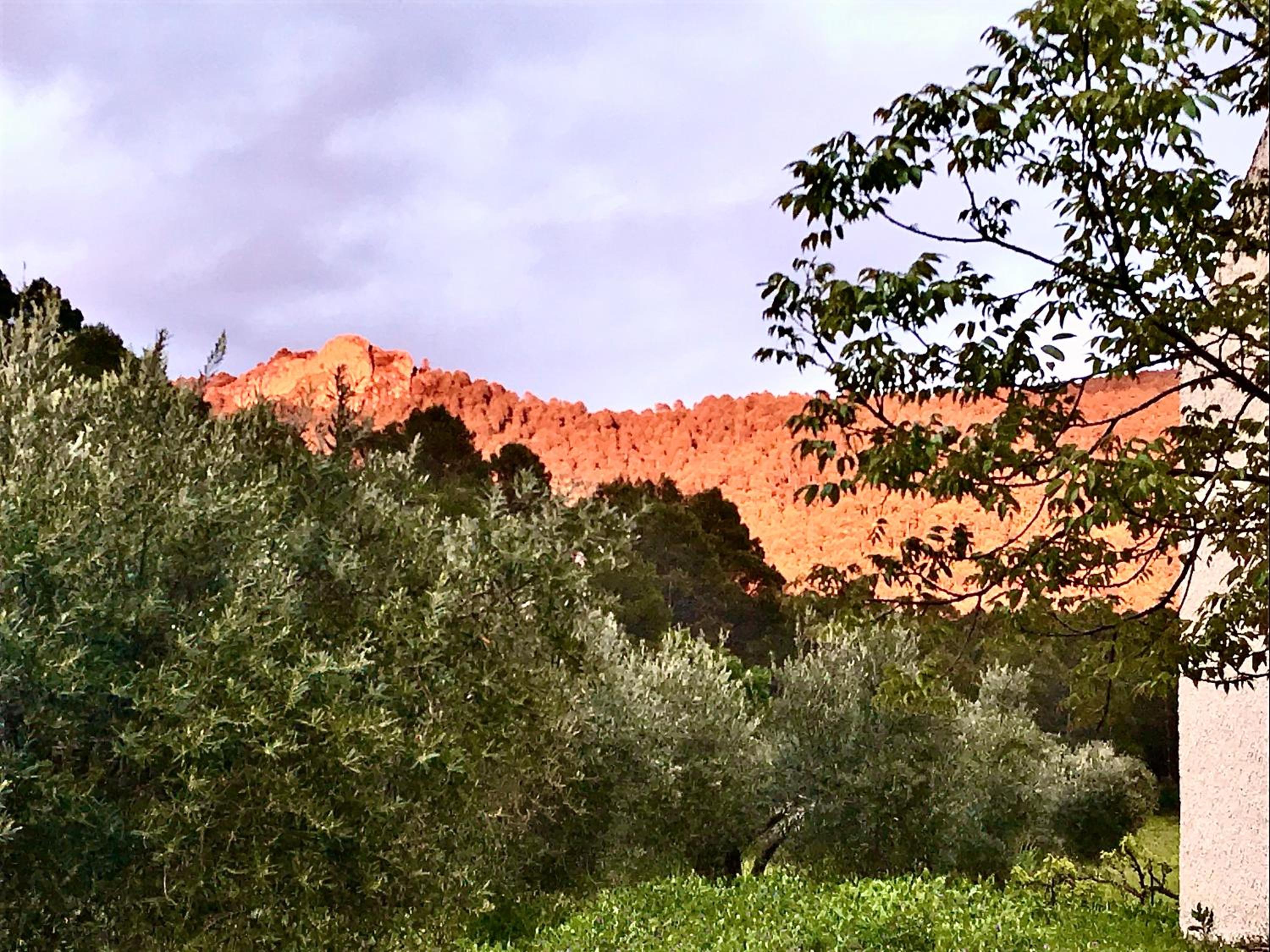 Casa Rural Cortijo La Ajedrea