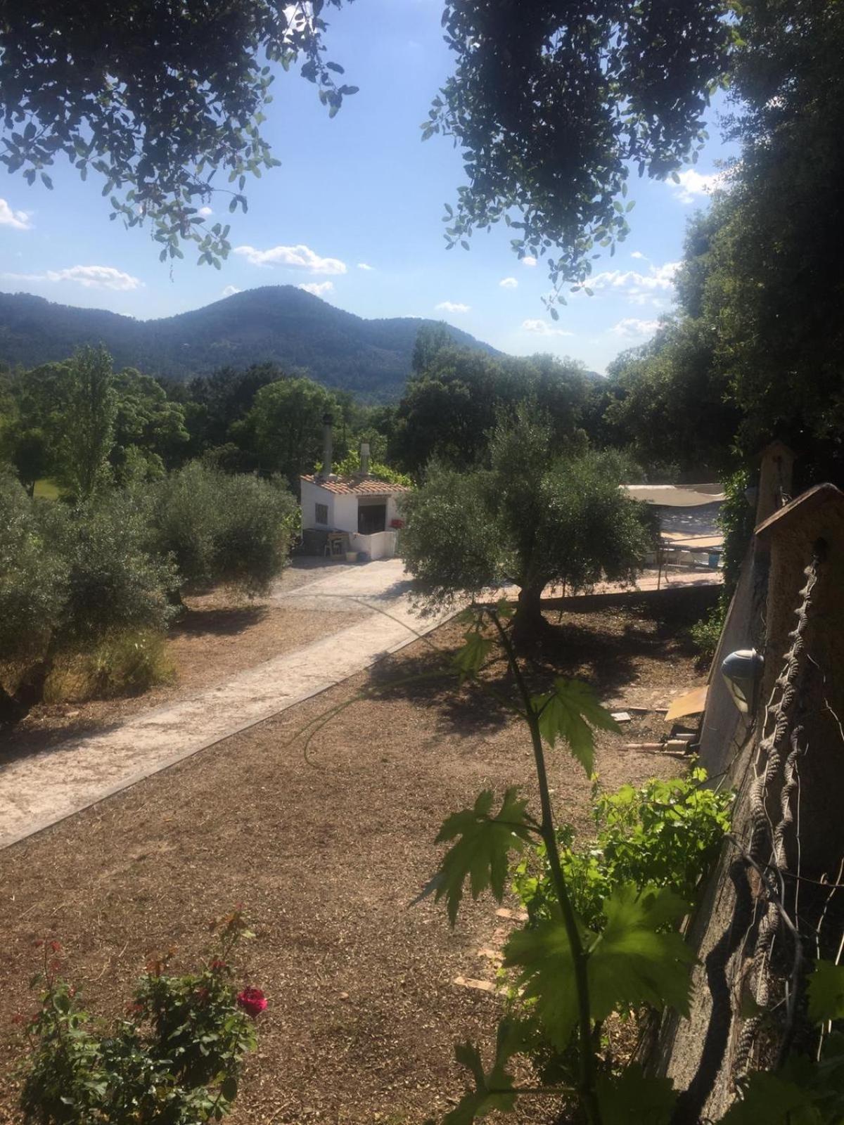 Casa Rural Cortijo La Ajedrea