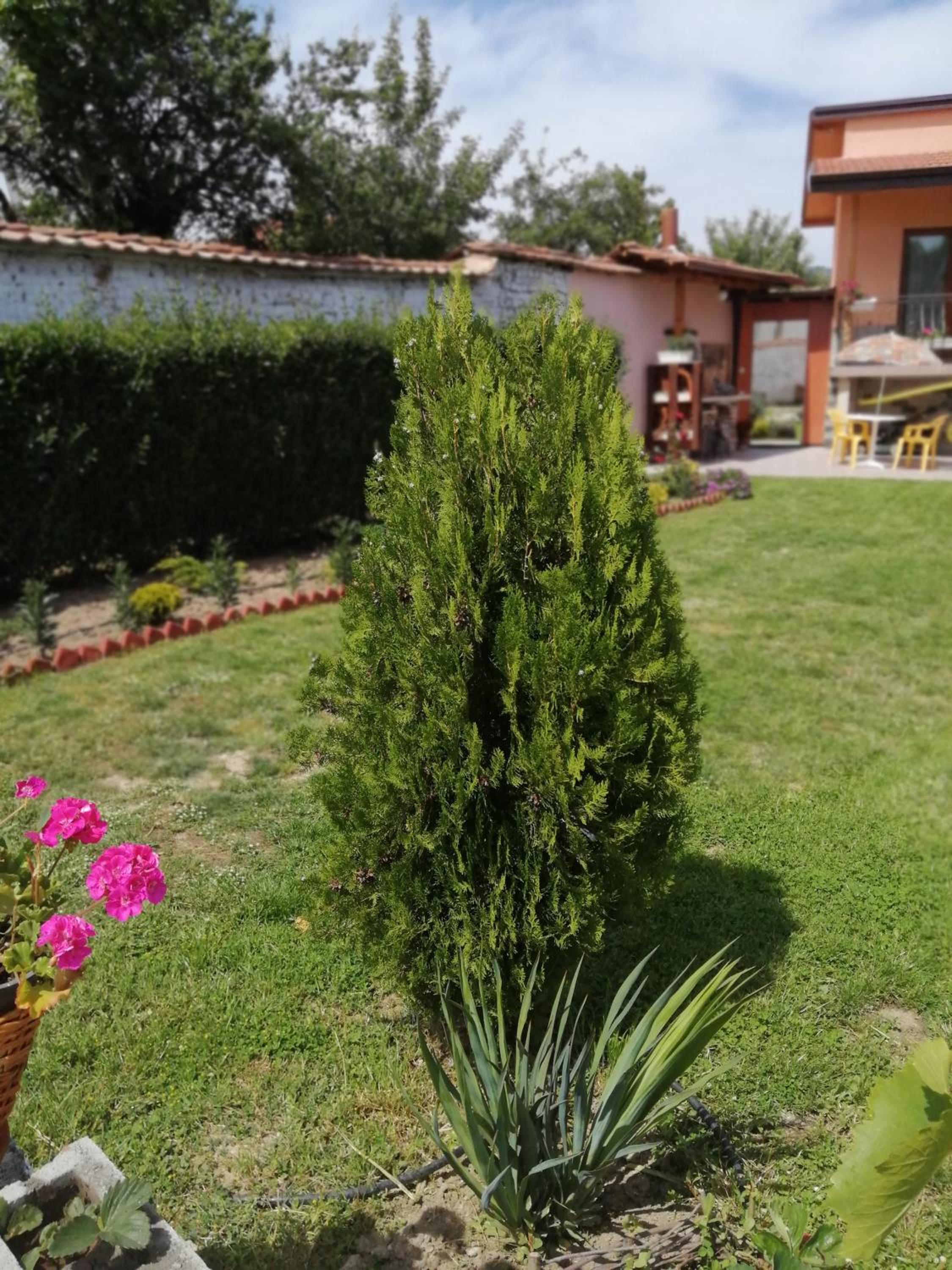 Къща За Гости Уют Guest House Cozy