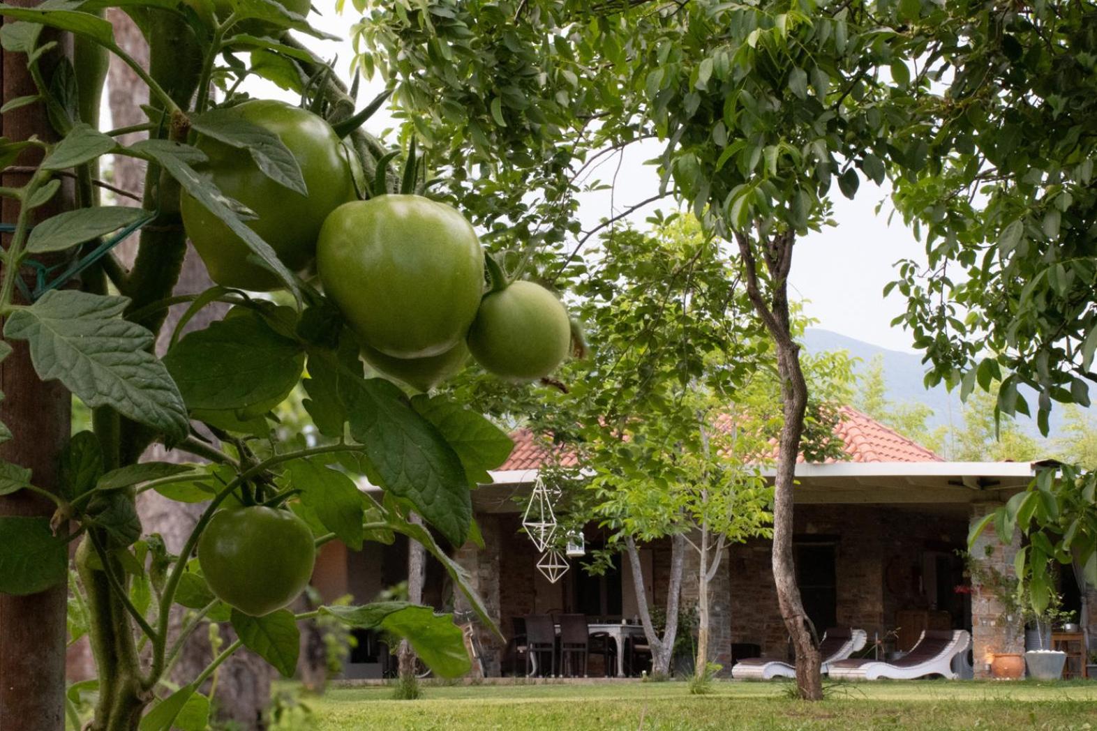 Sinanis Garden House view 5