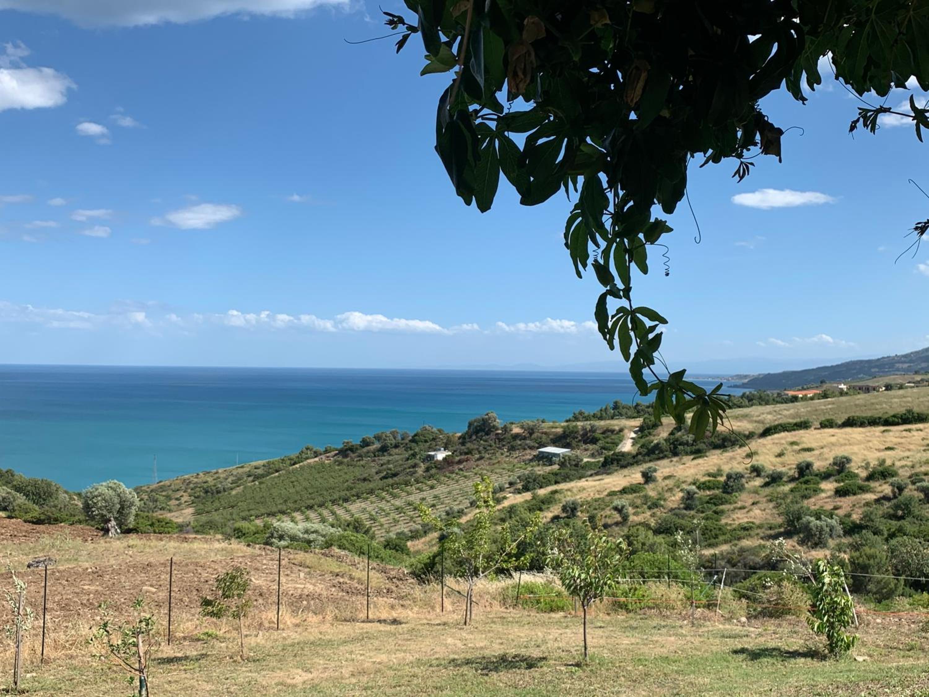 B&B Villa Sveva view 3