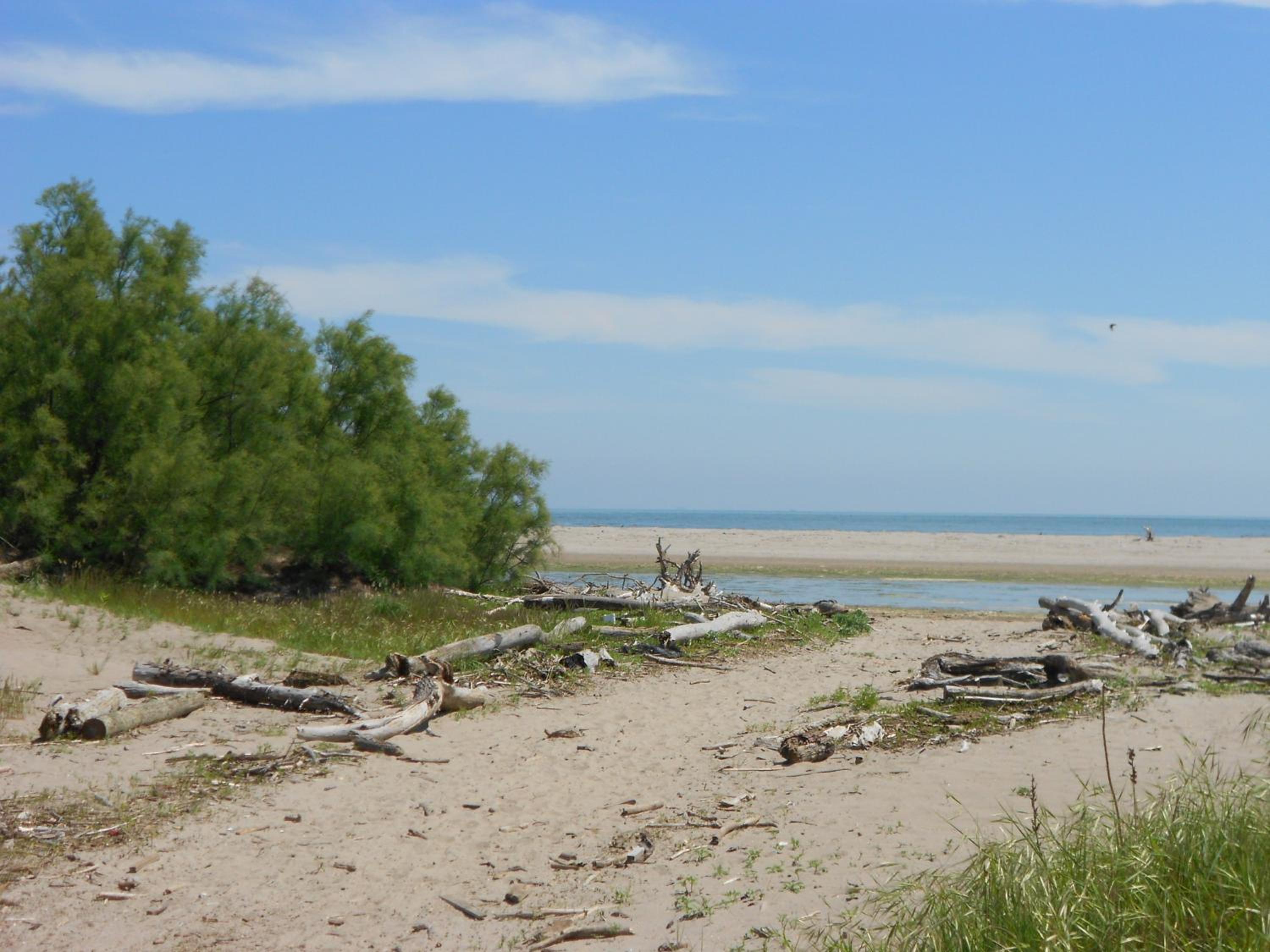 Photo 20