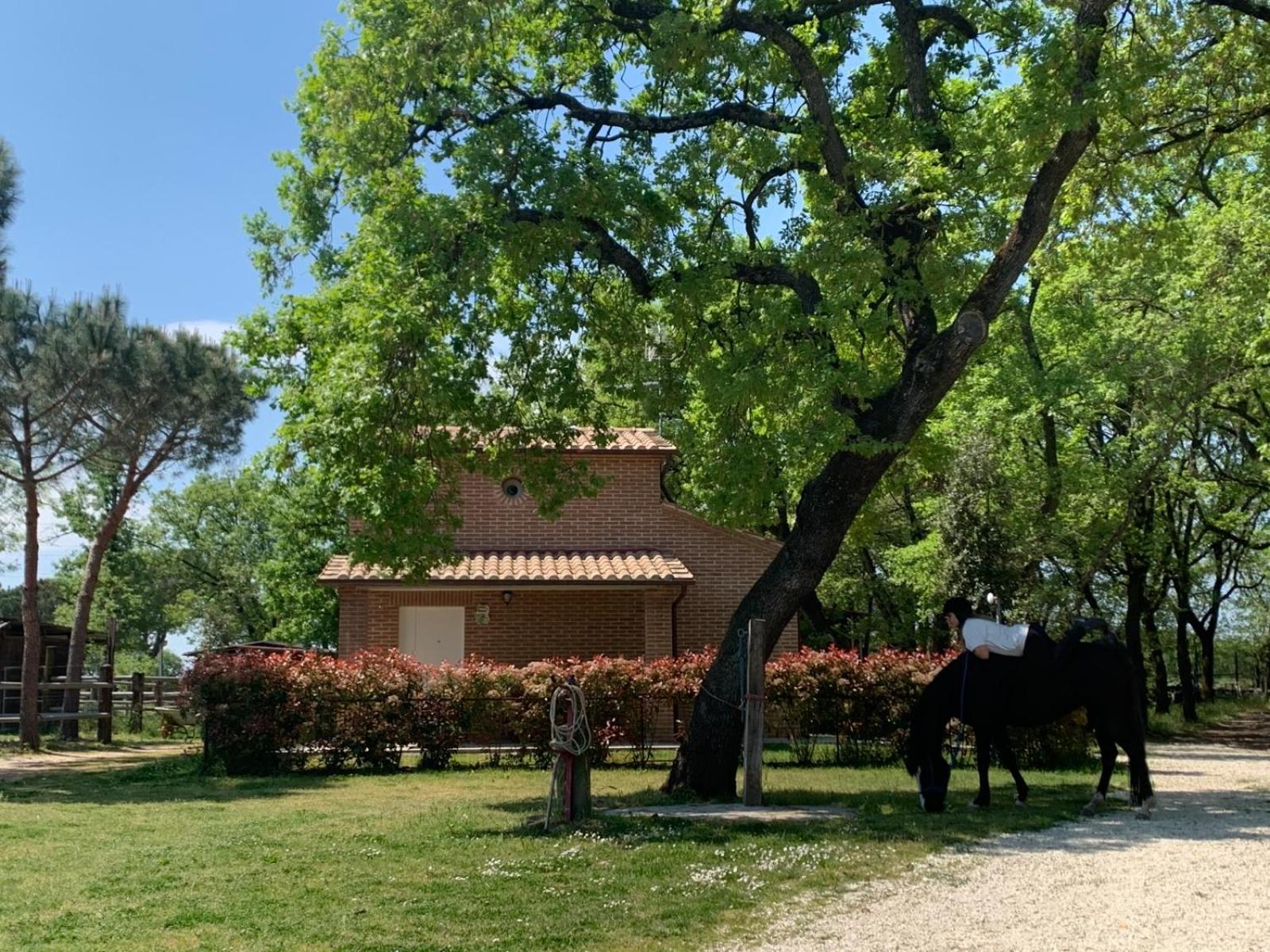 Casina Miriano view 4