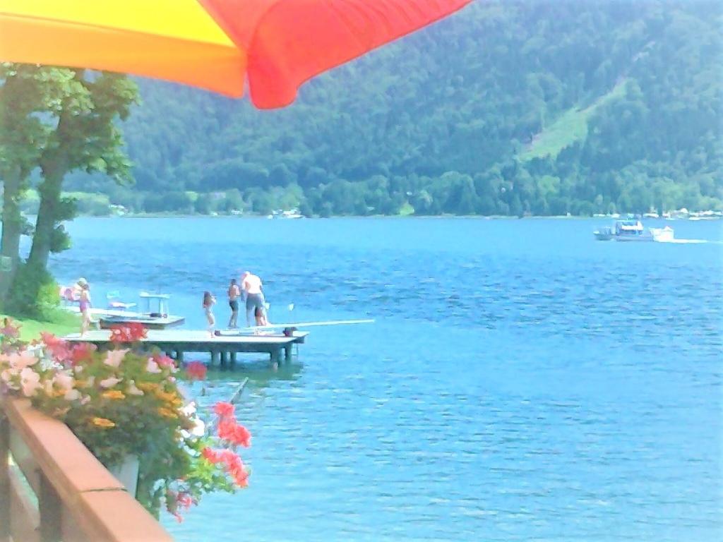 Photo 44