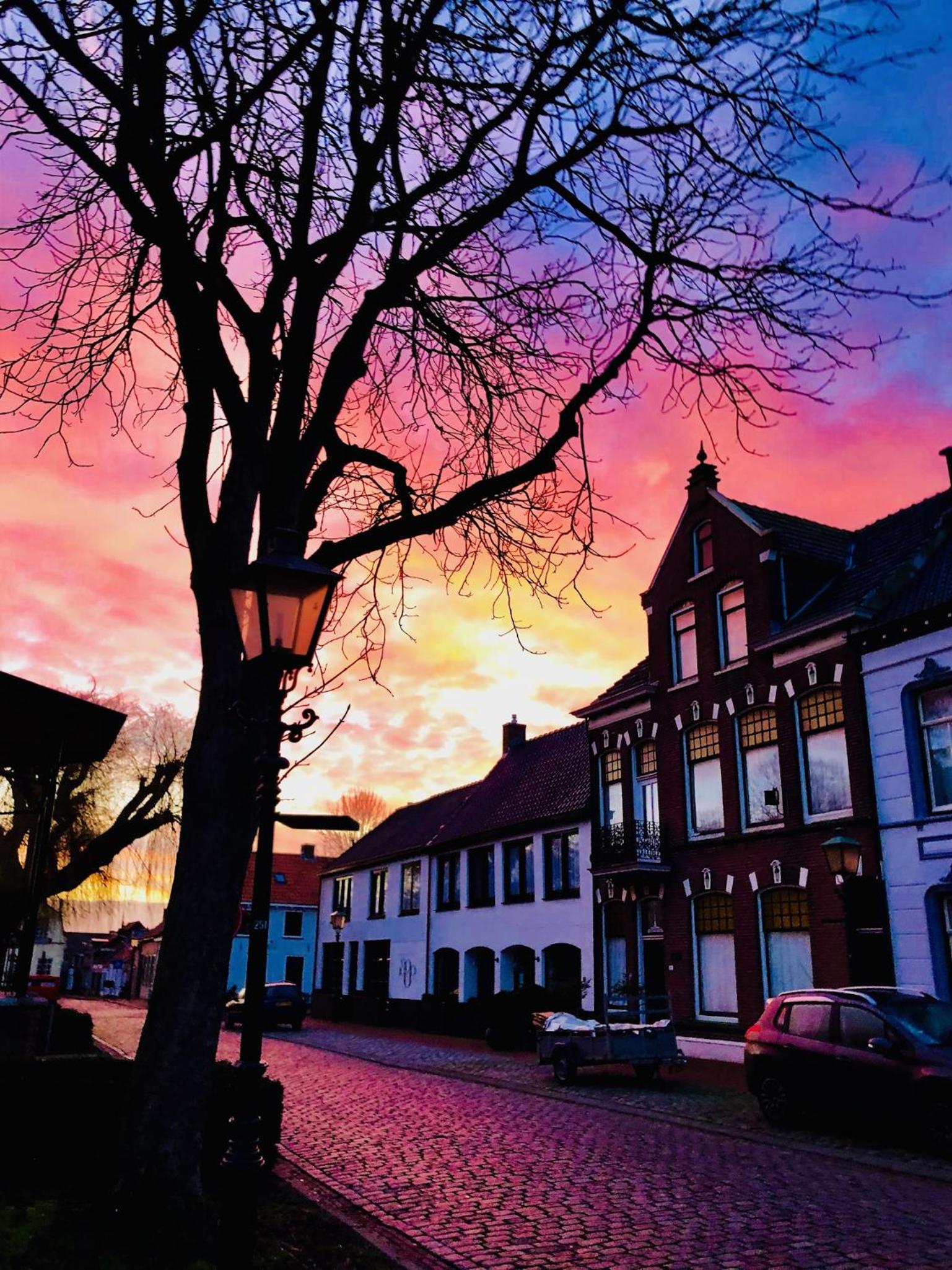 Logies De Reiziger view 4