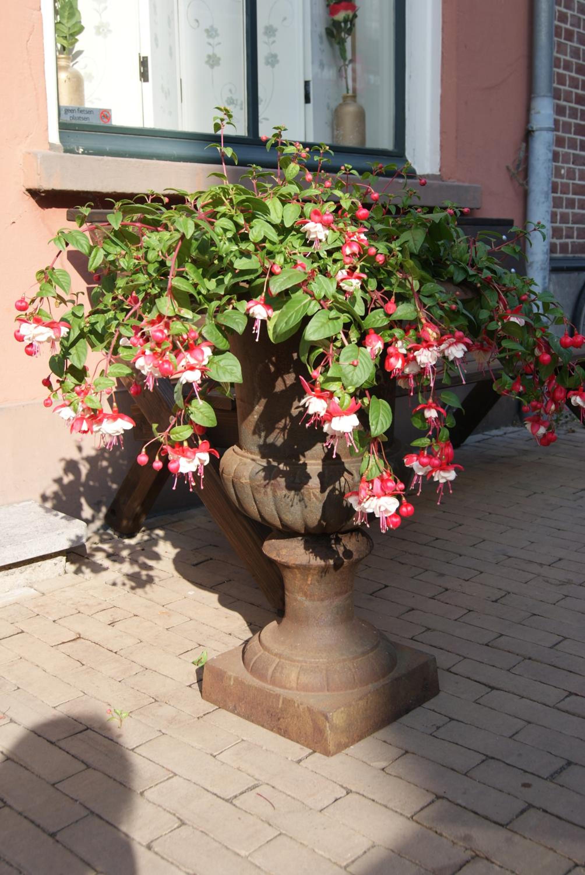 Photo 48
