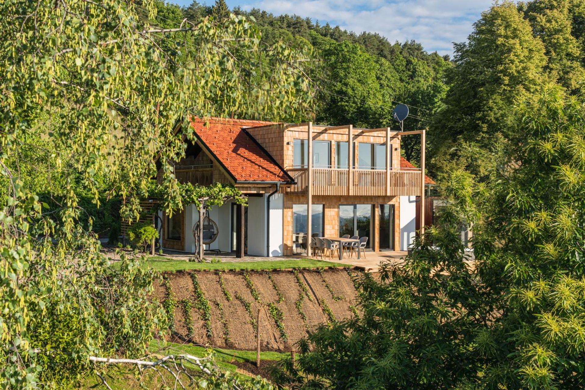 steiRerBLiCke- Schilcherhaus view 4