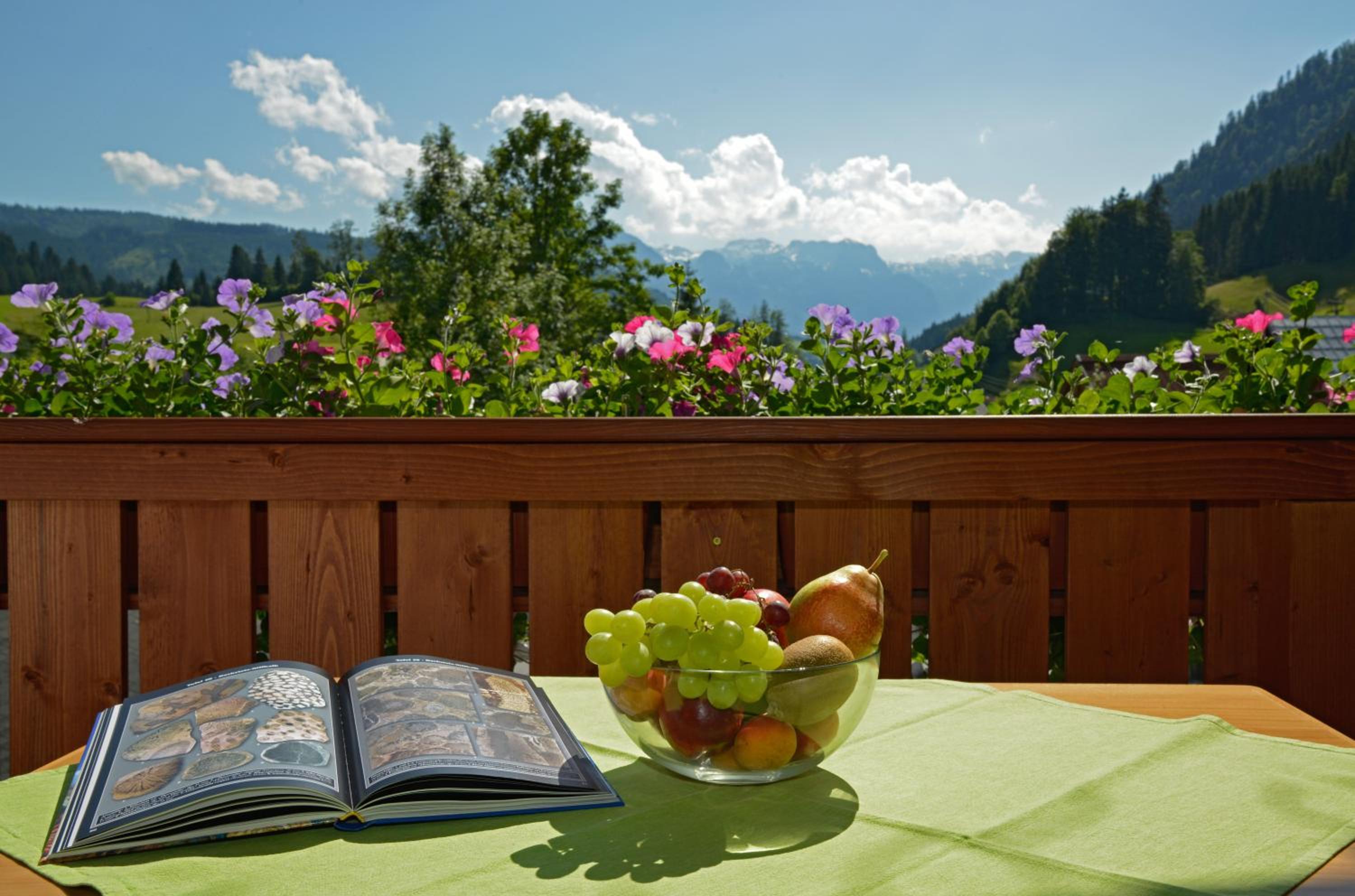 Landhaus Schwaighofer Dachstein West