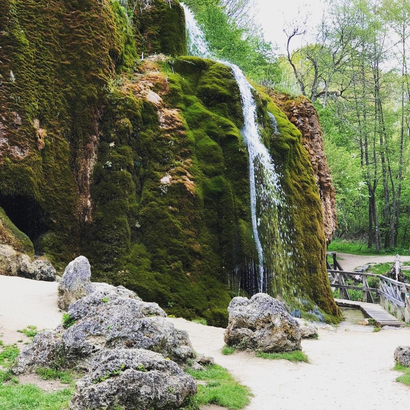[E] ifeel home_ Adenau