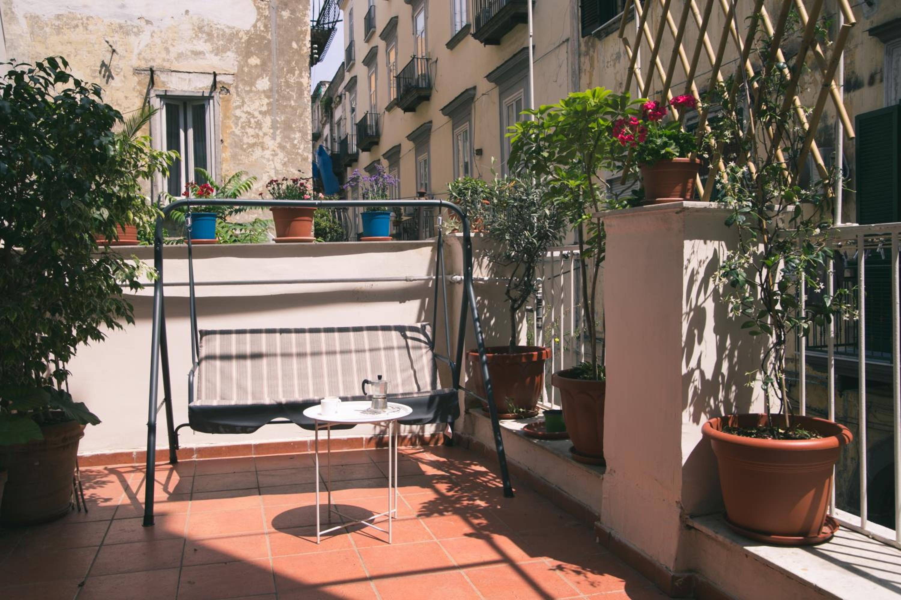 balance & terrace