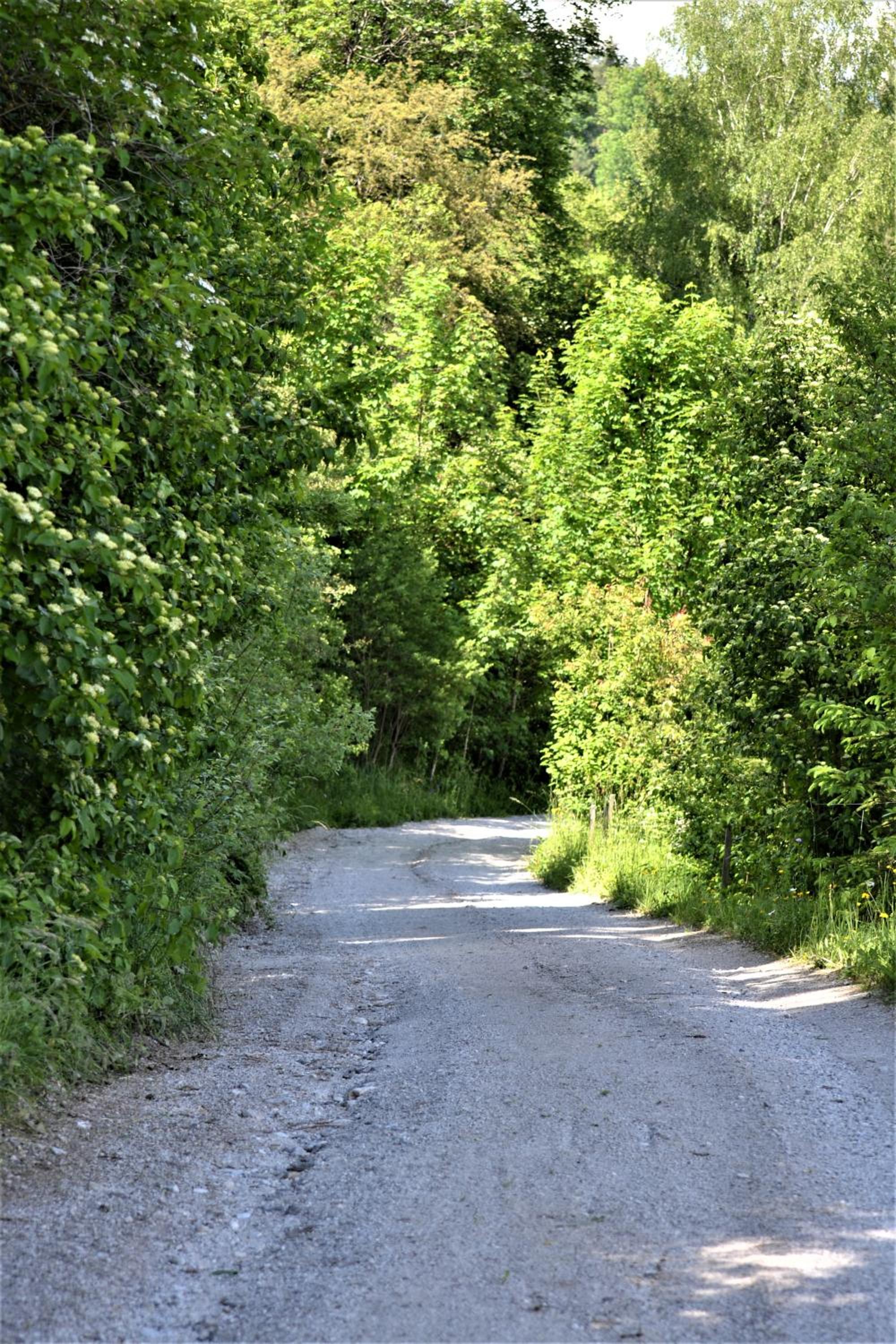 Höblinghof