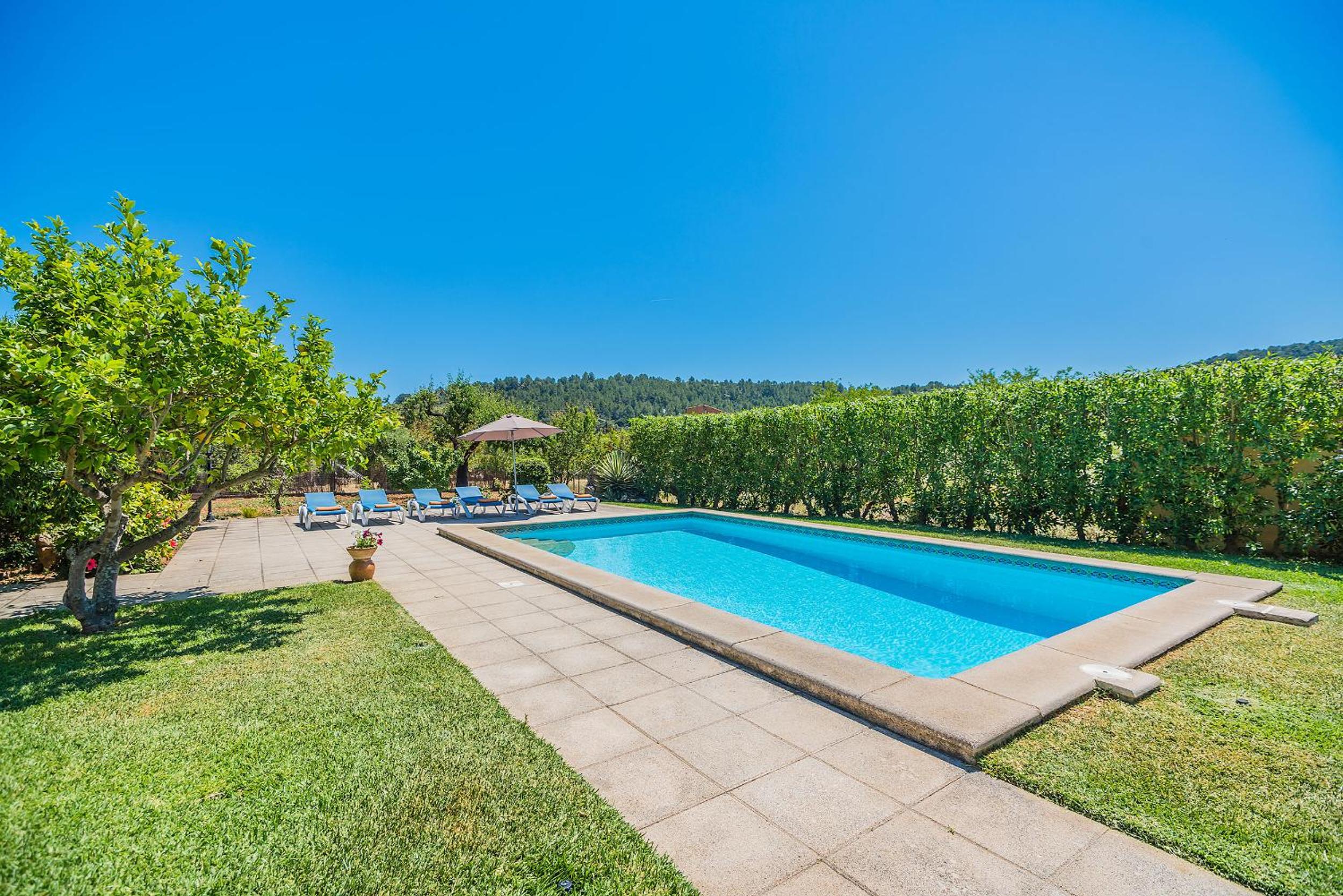 Can De L'ausina photo 5