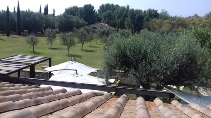 Agriturismo Lupo Cerrino