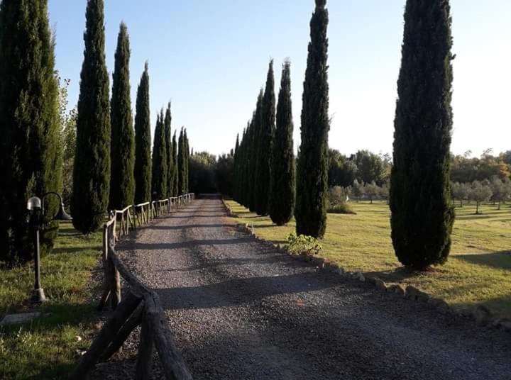 Agriturismo Lupo Cerrino