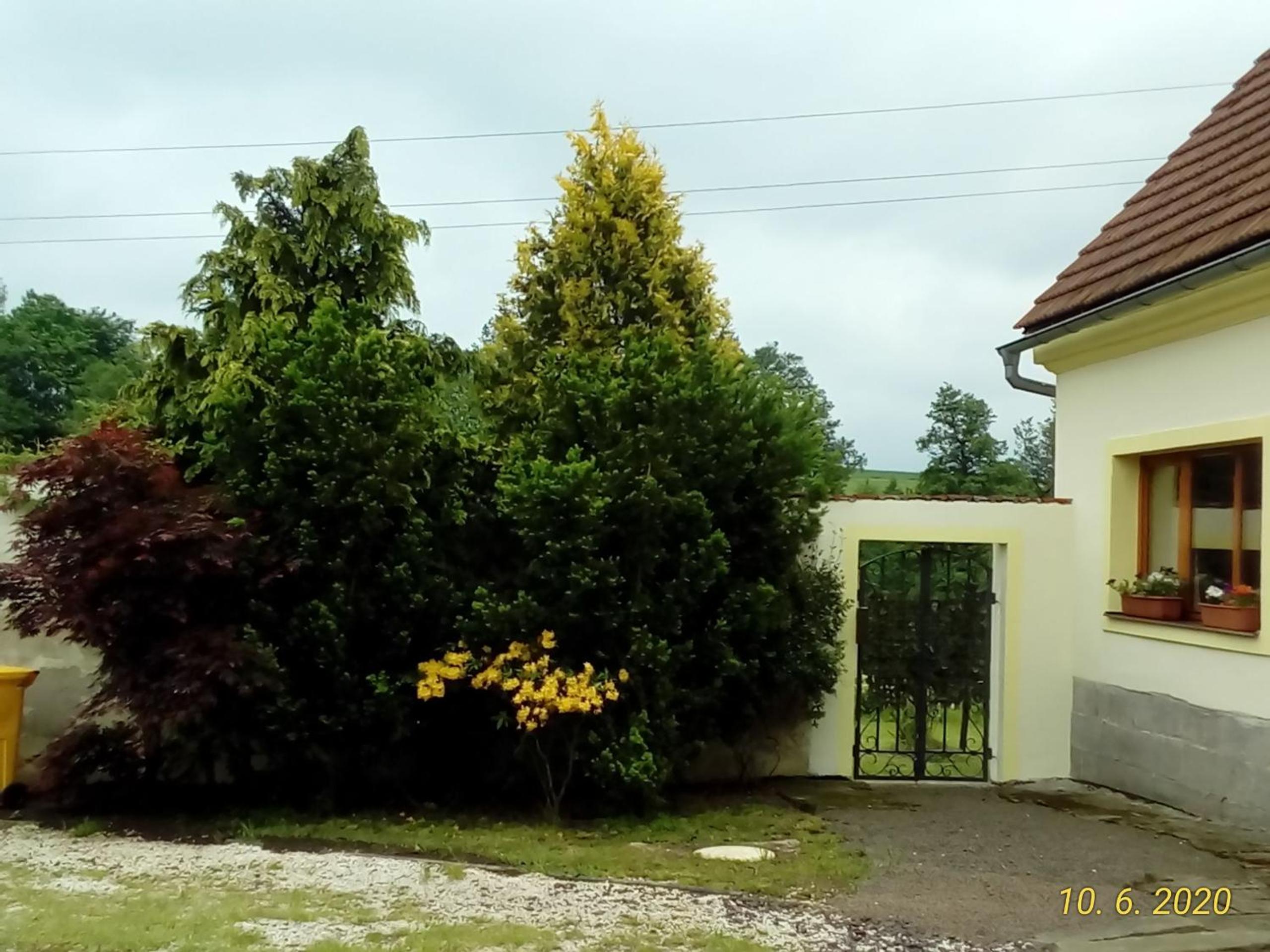 Statek-Hofje view 3