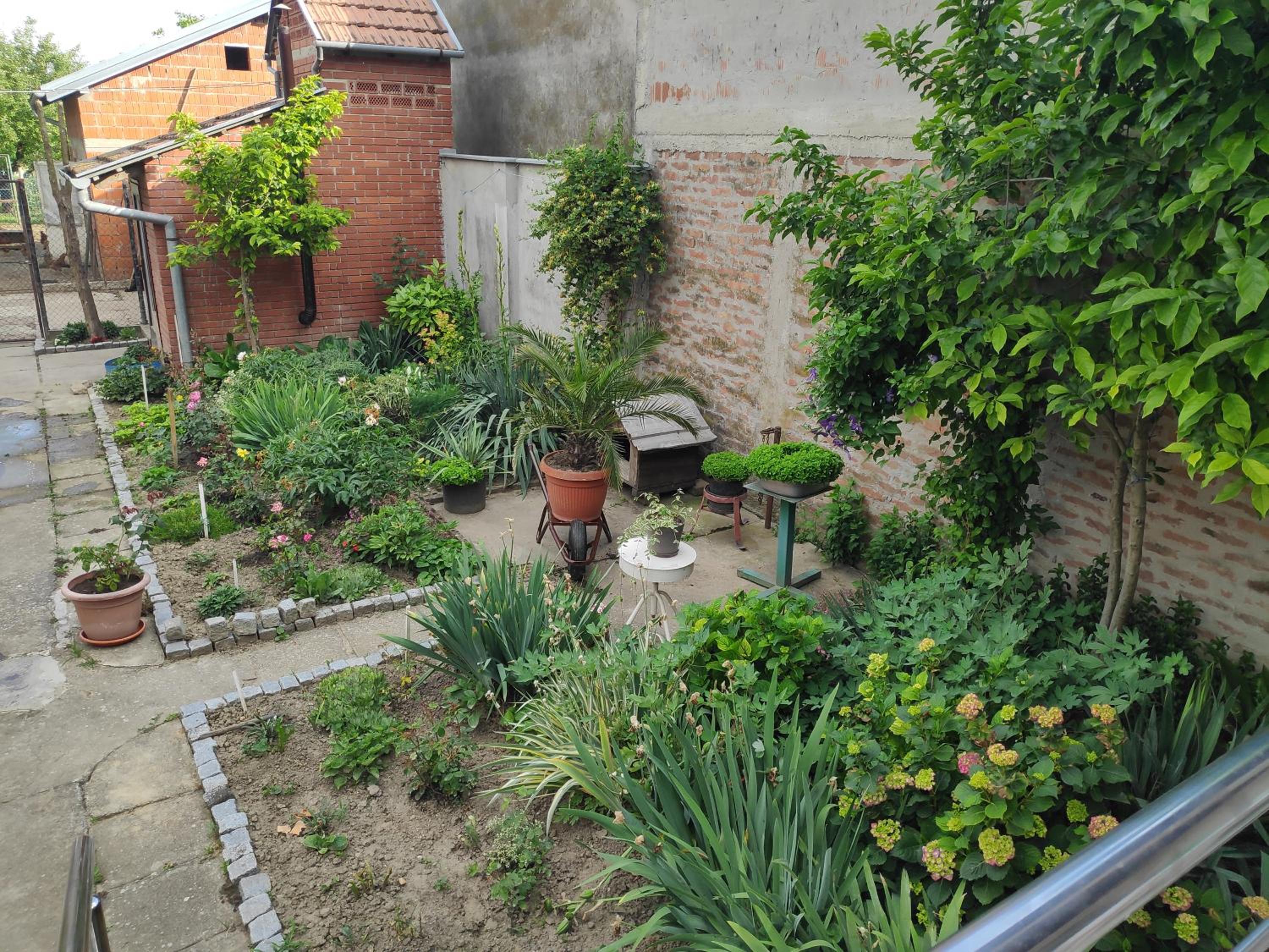 Photo 42