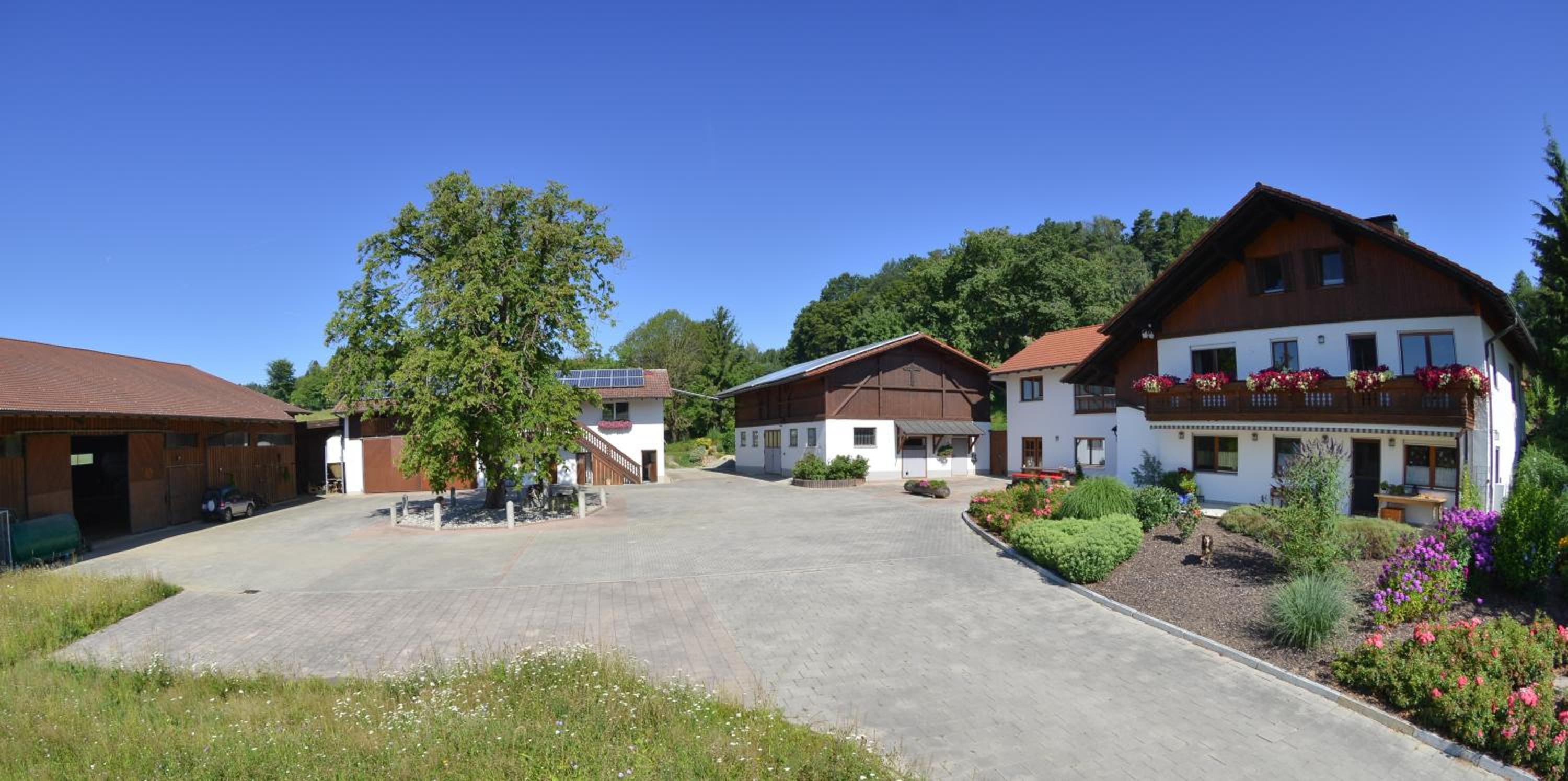 Gästehaus Wildgehege view 2