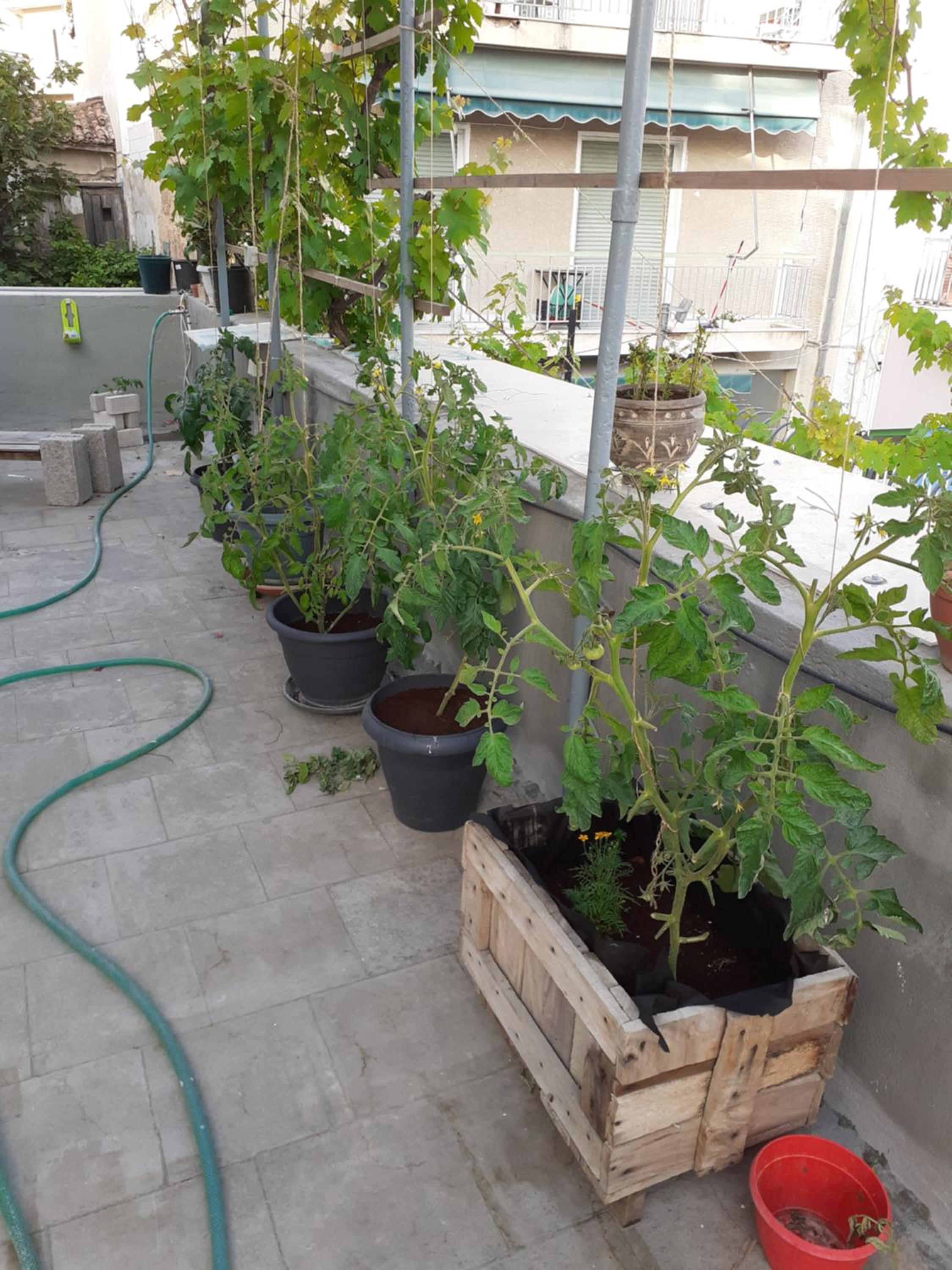 17 flats and Roof Garden
